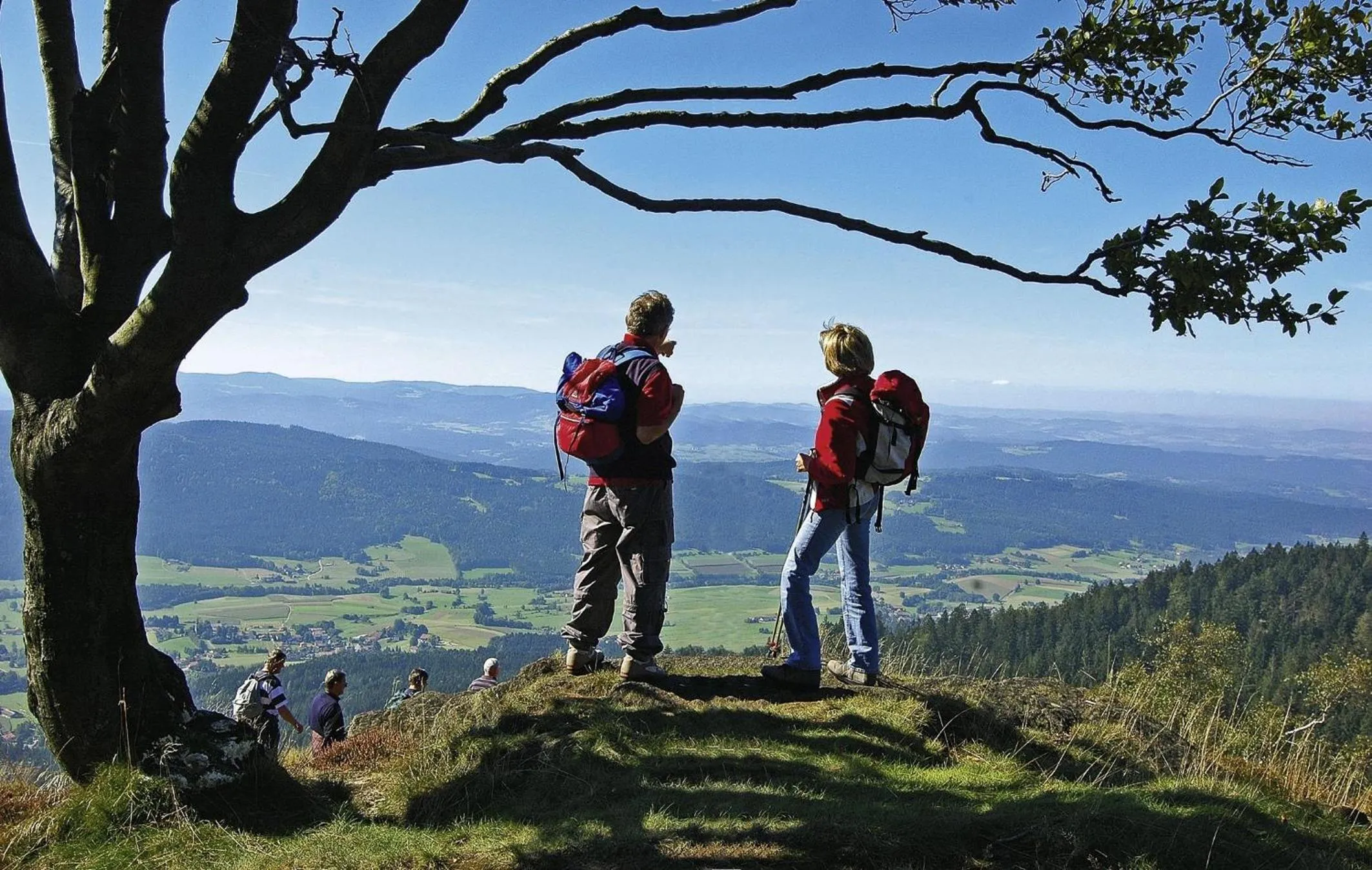 Hiking in Hotel Amberger Hof
