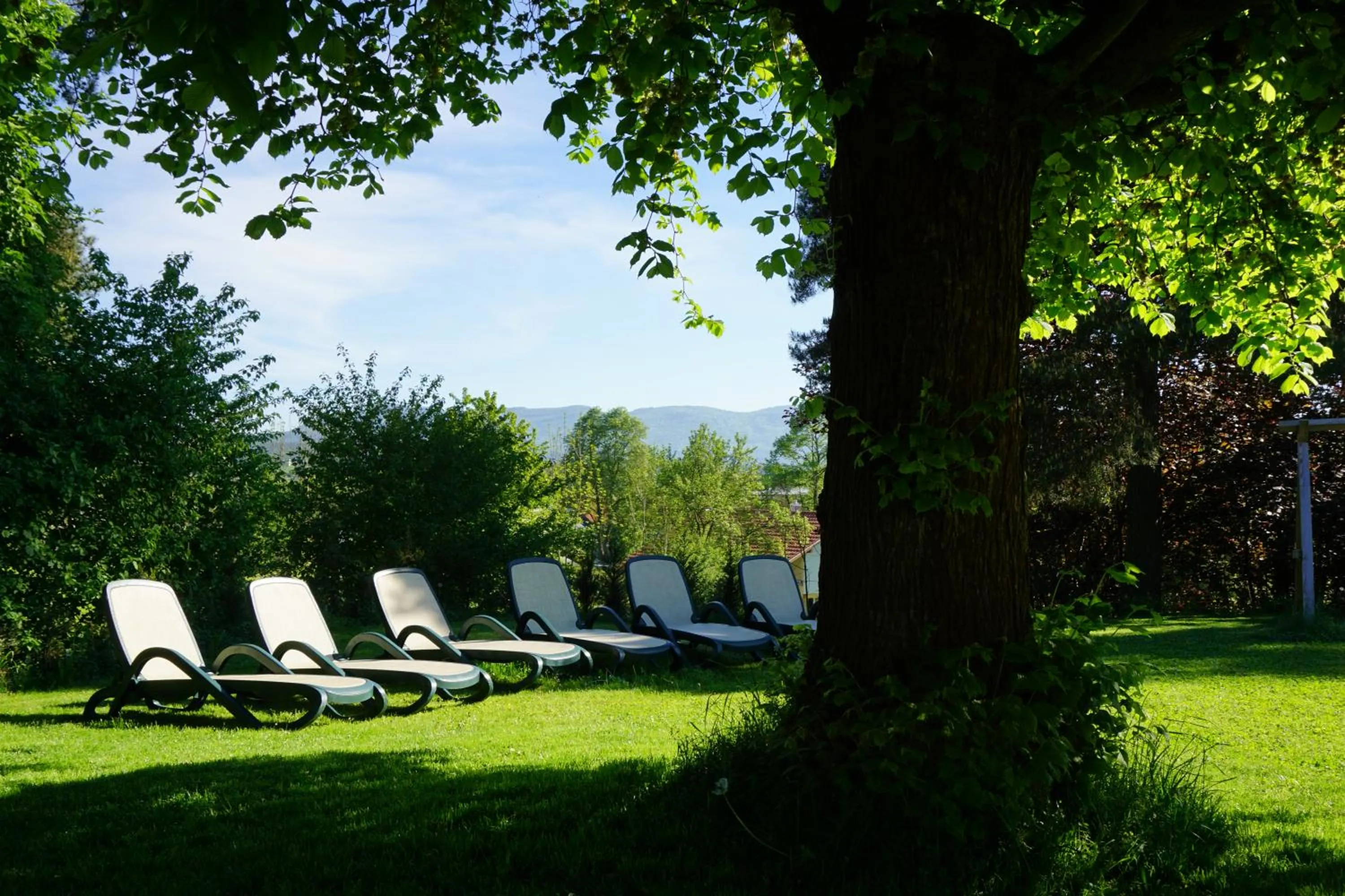 Garden in Hotel Amberger Hof
