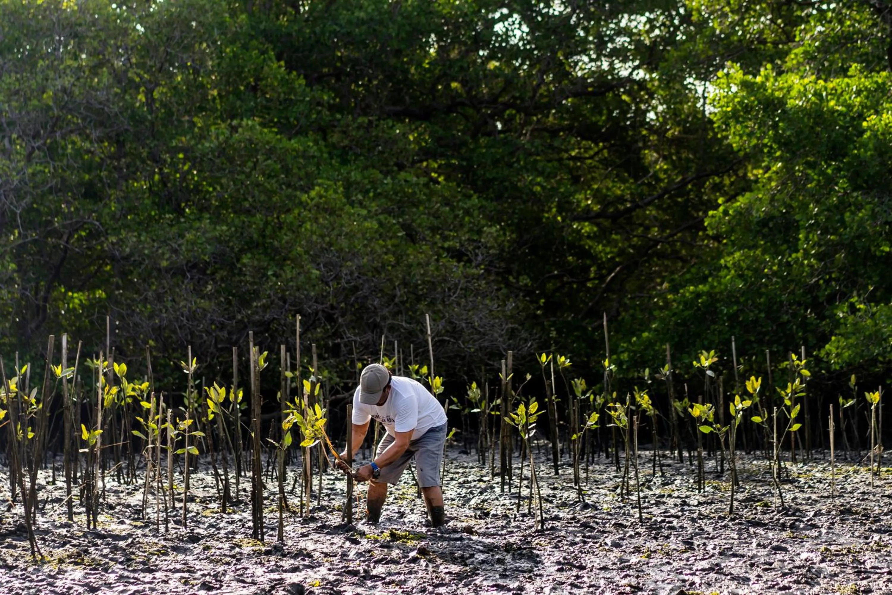 People in Blossom Eco Luxe Villas by Ekosistem