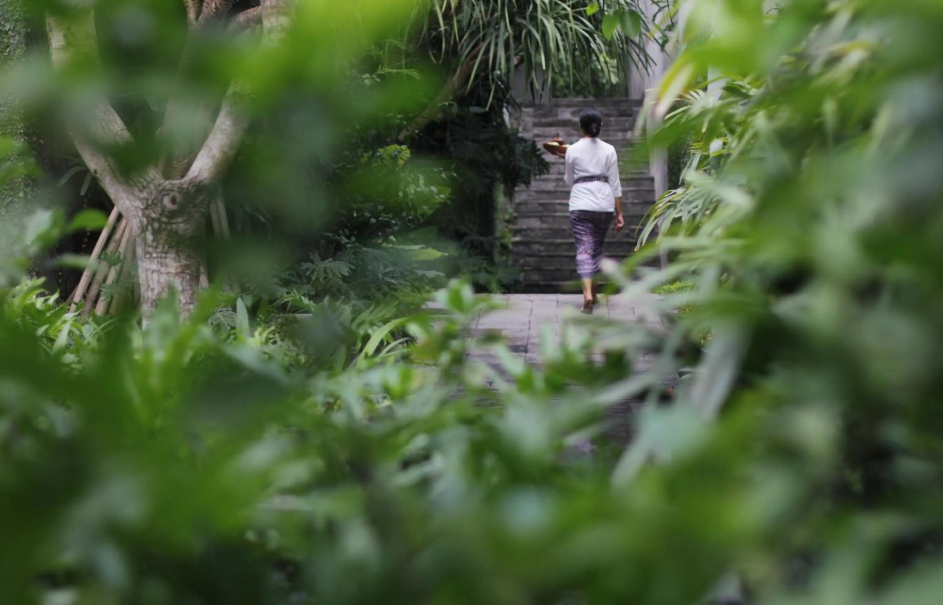 Natural landscape in Blossom Eco Luxe Villas by Ekosistem