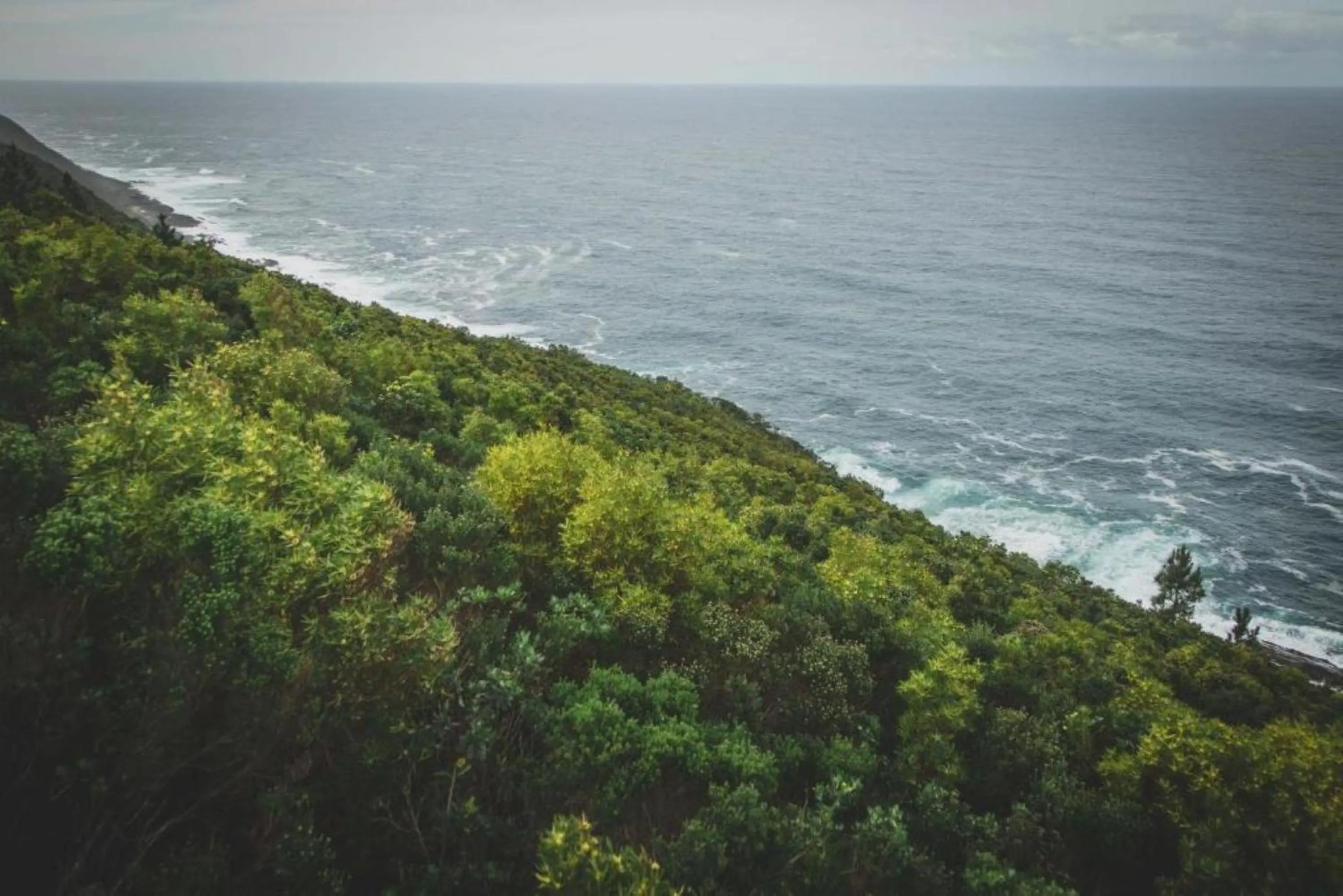 Natural landscape in Misty Mountain Reserve