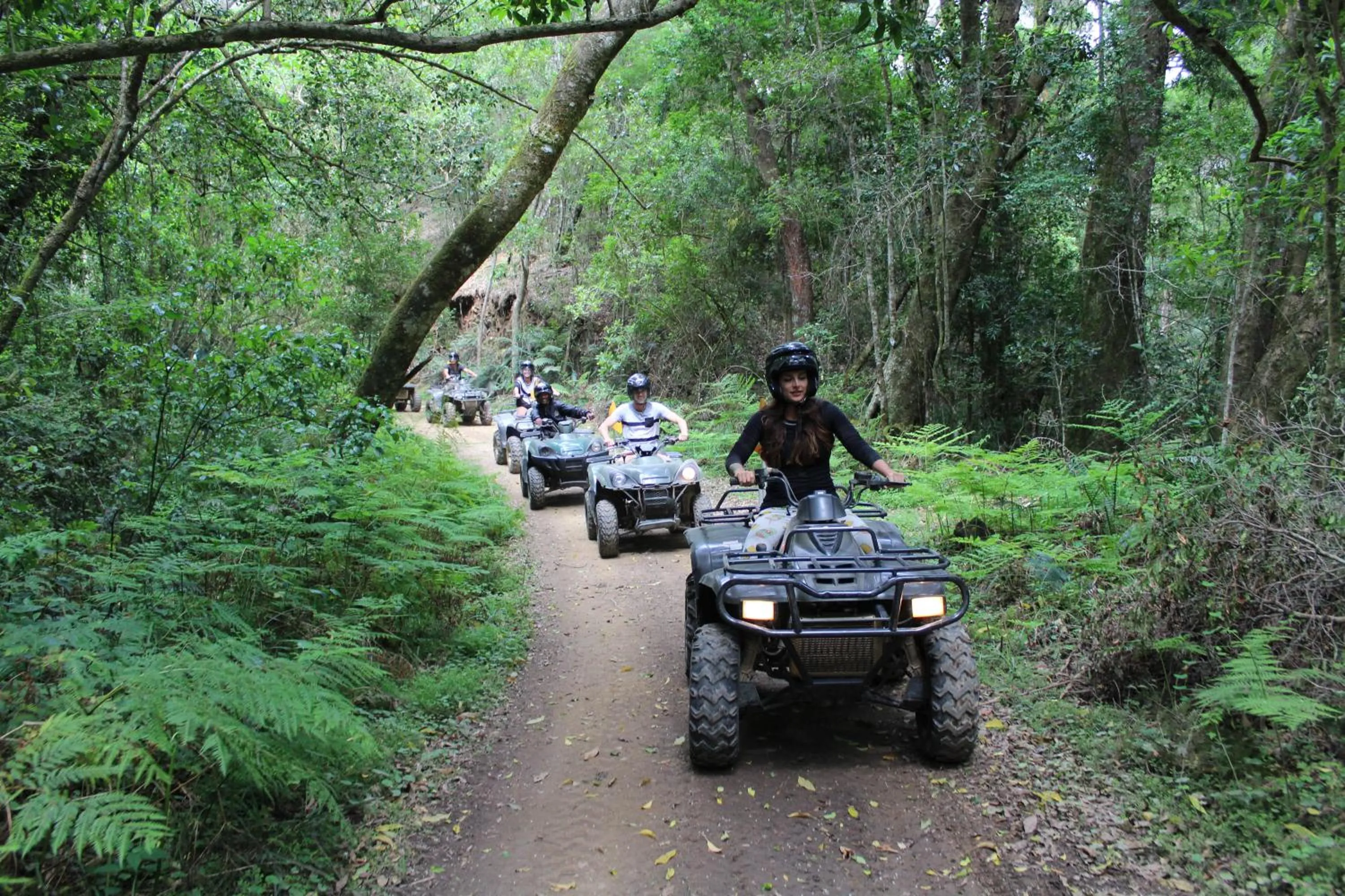 Day in Misty Mountain Reserve