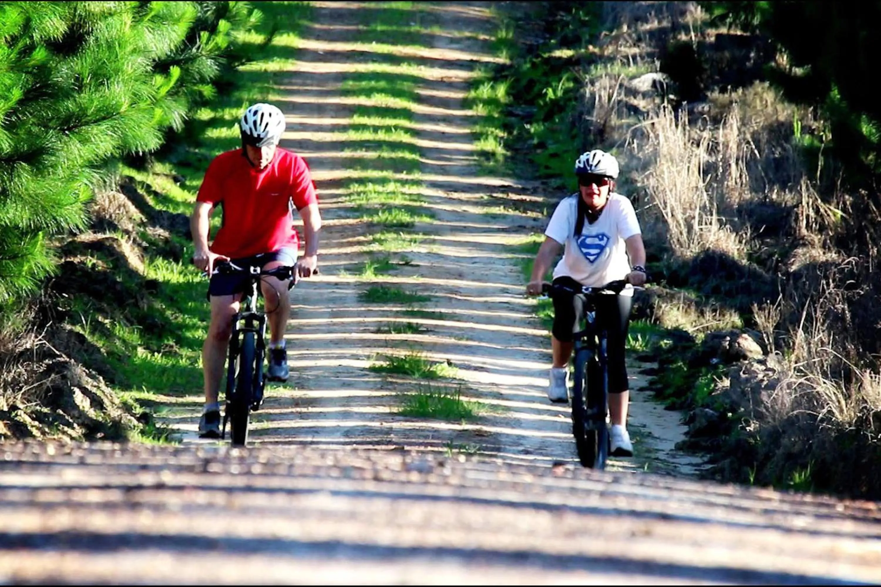 Activities in Misty Mountain Reserve
