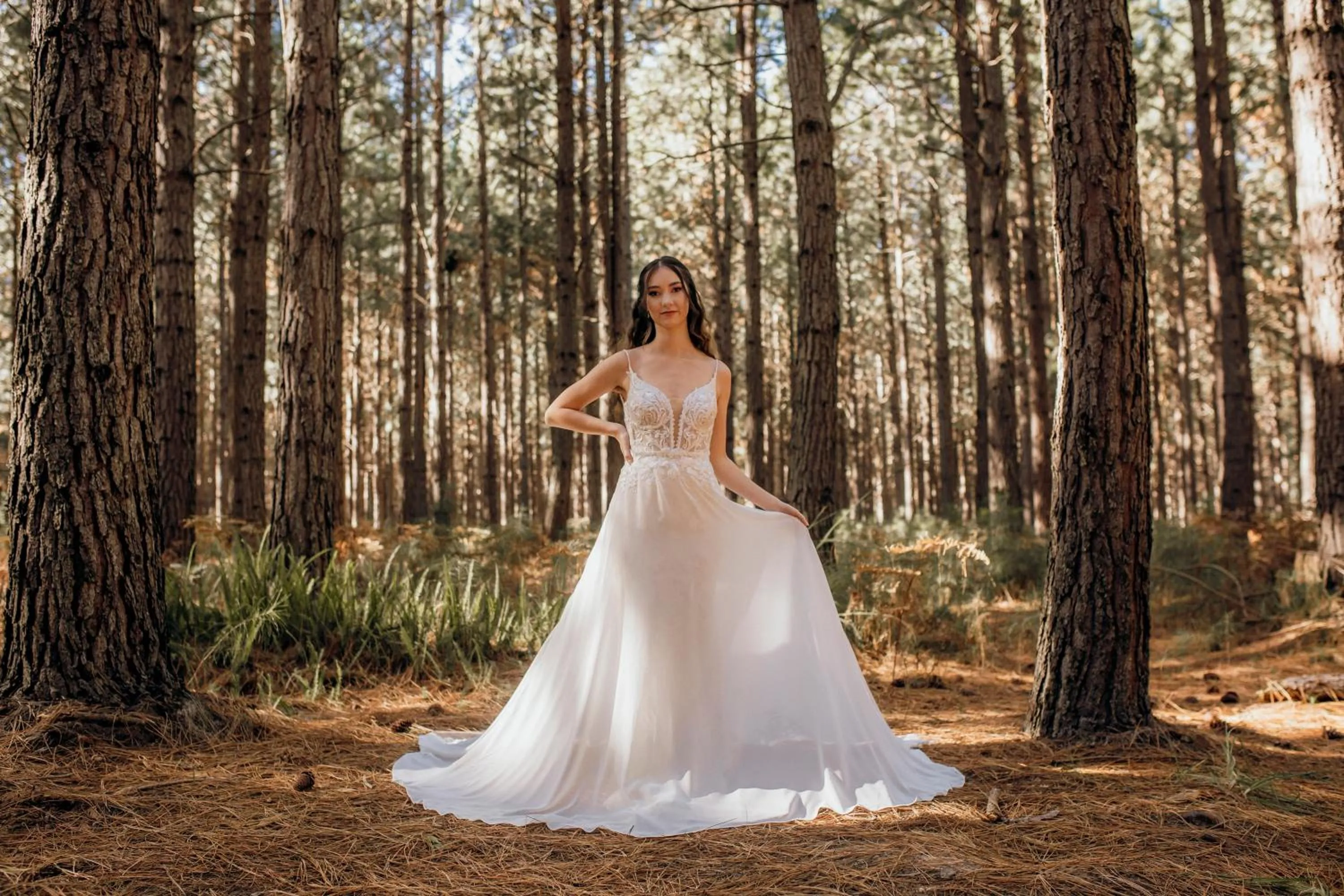 wedding in Misty Mountain Reserve