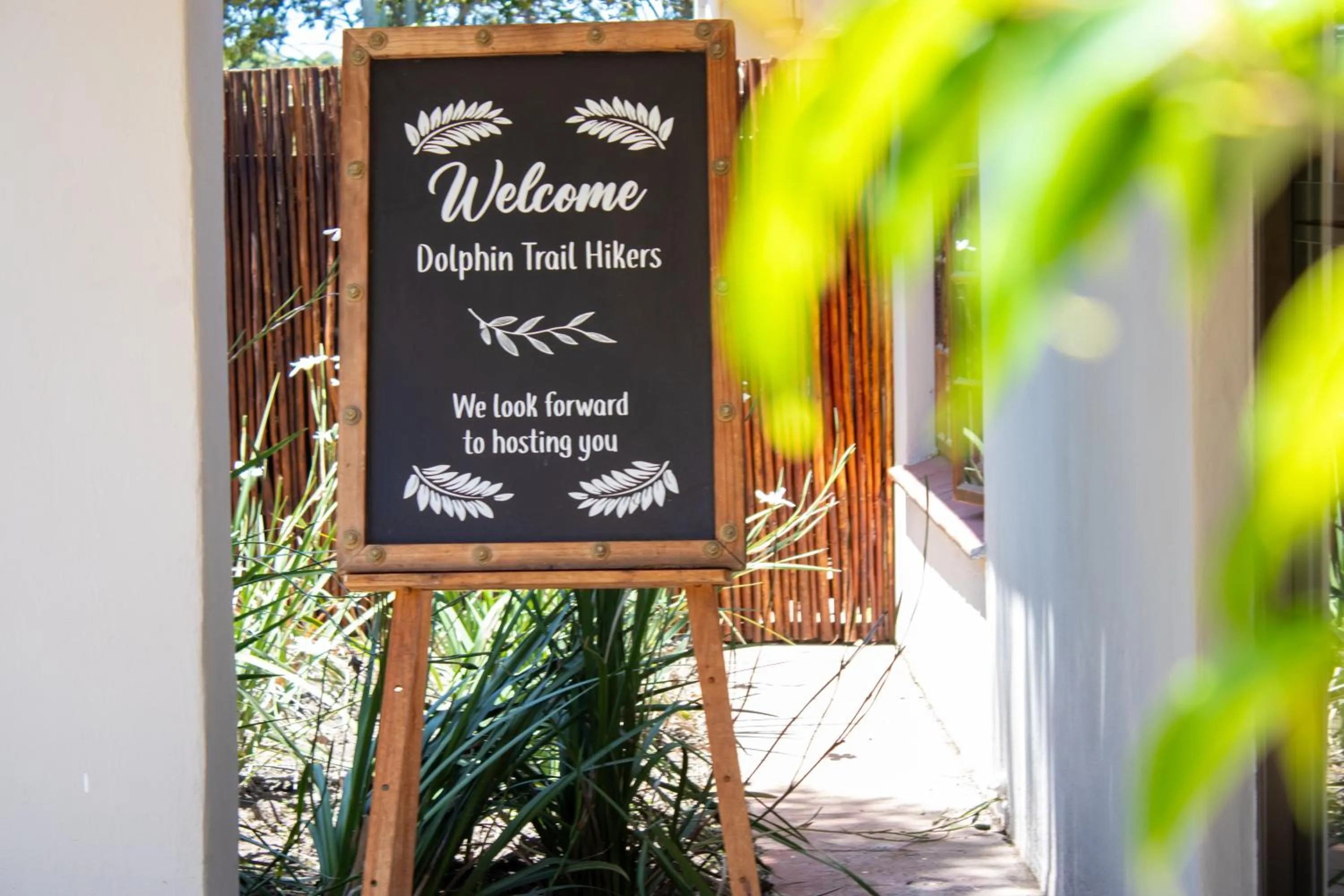 Activities in Misty Mountain Reserve