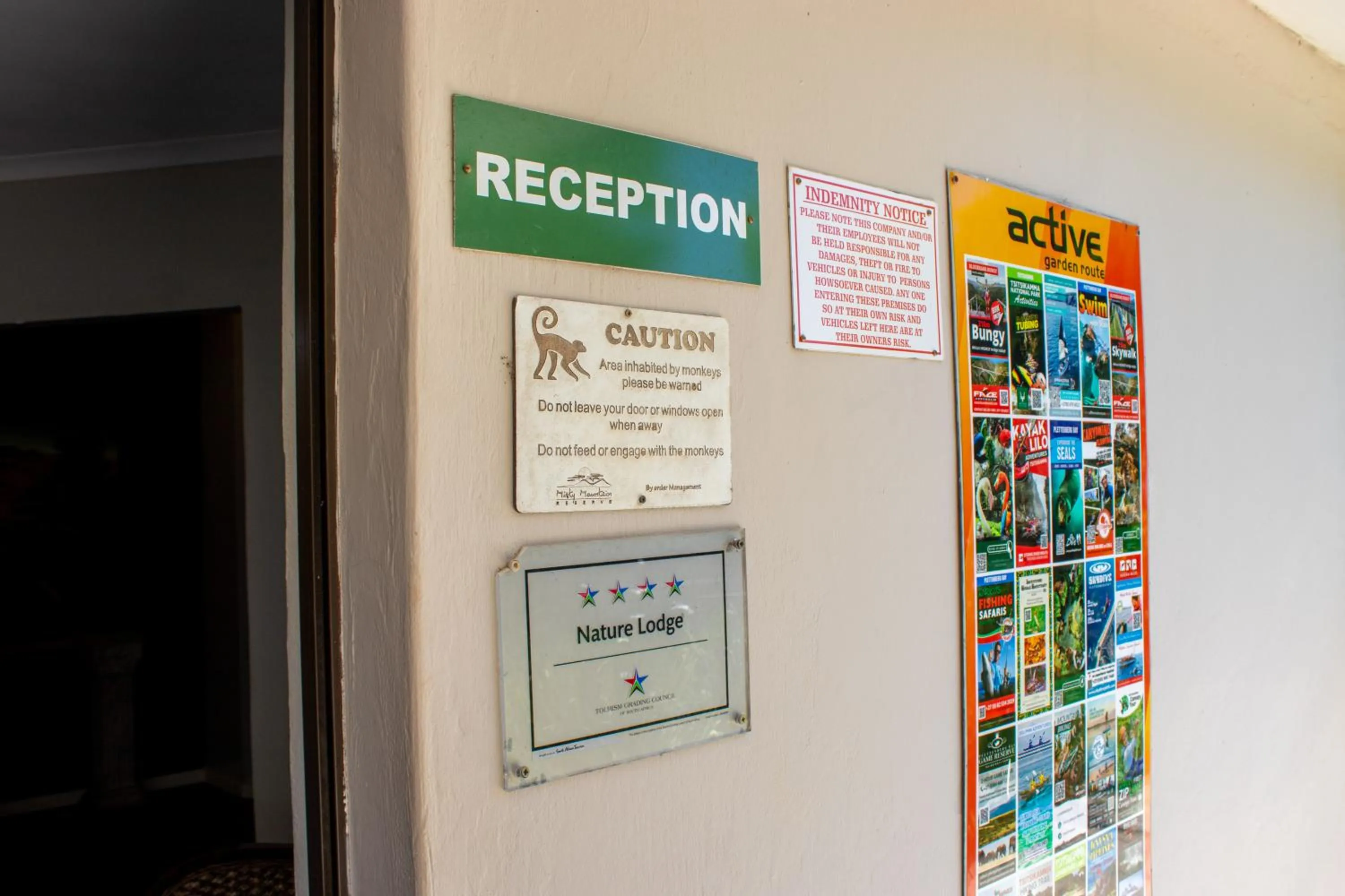 Activities in Misty Mountain Reserve