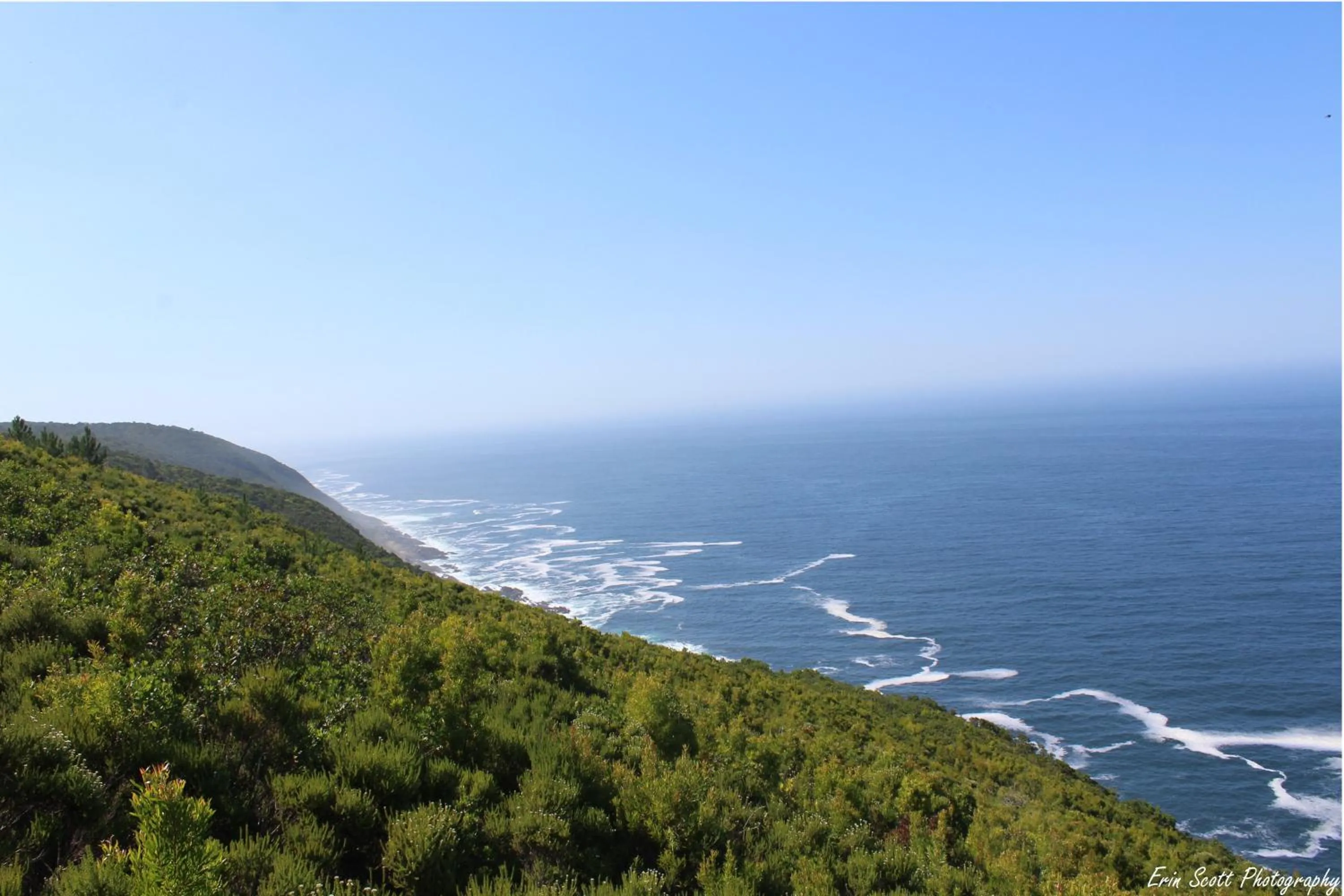 Natural landscape in Misty Mountain Reserve