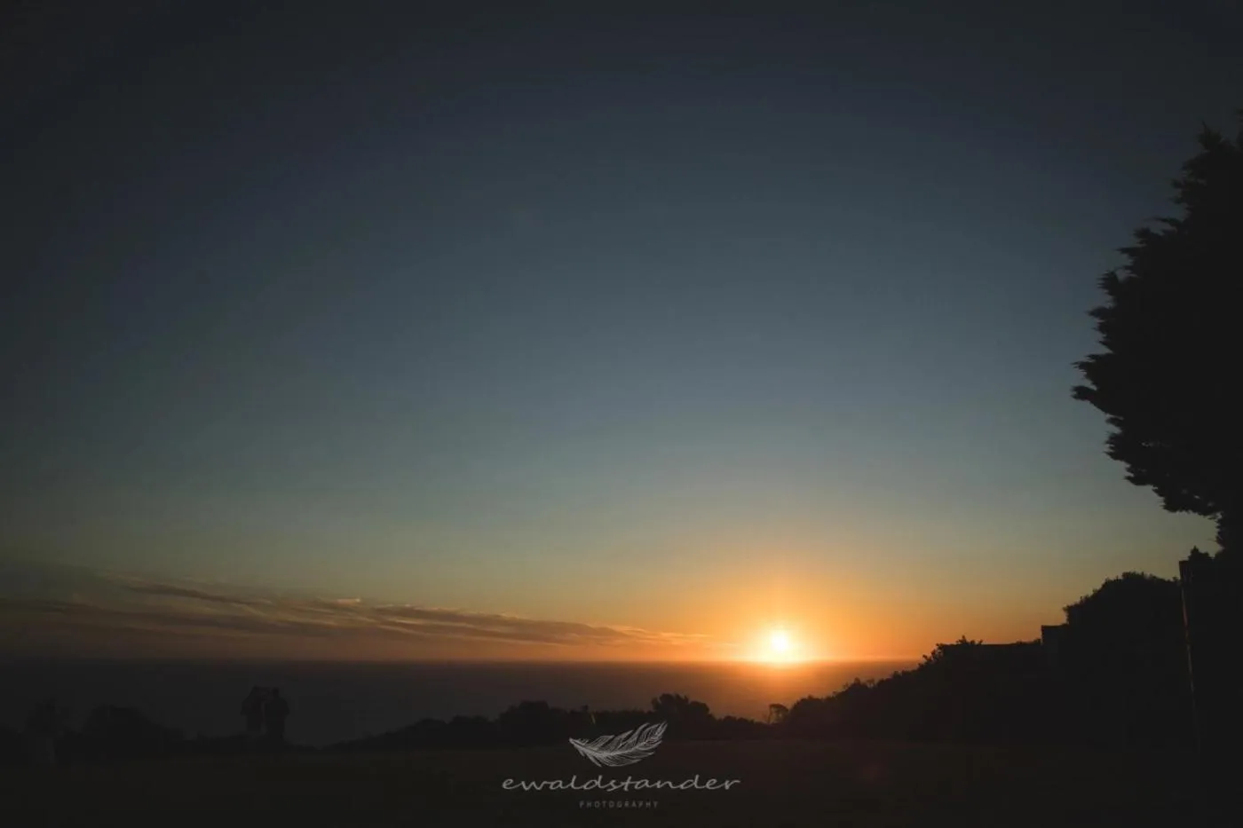 View (from property/room) in Misty Mountain Reserve