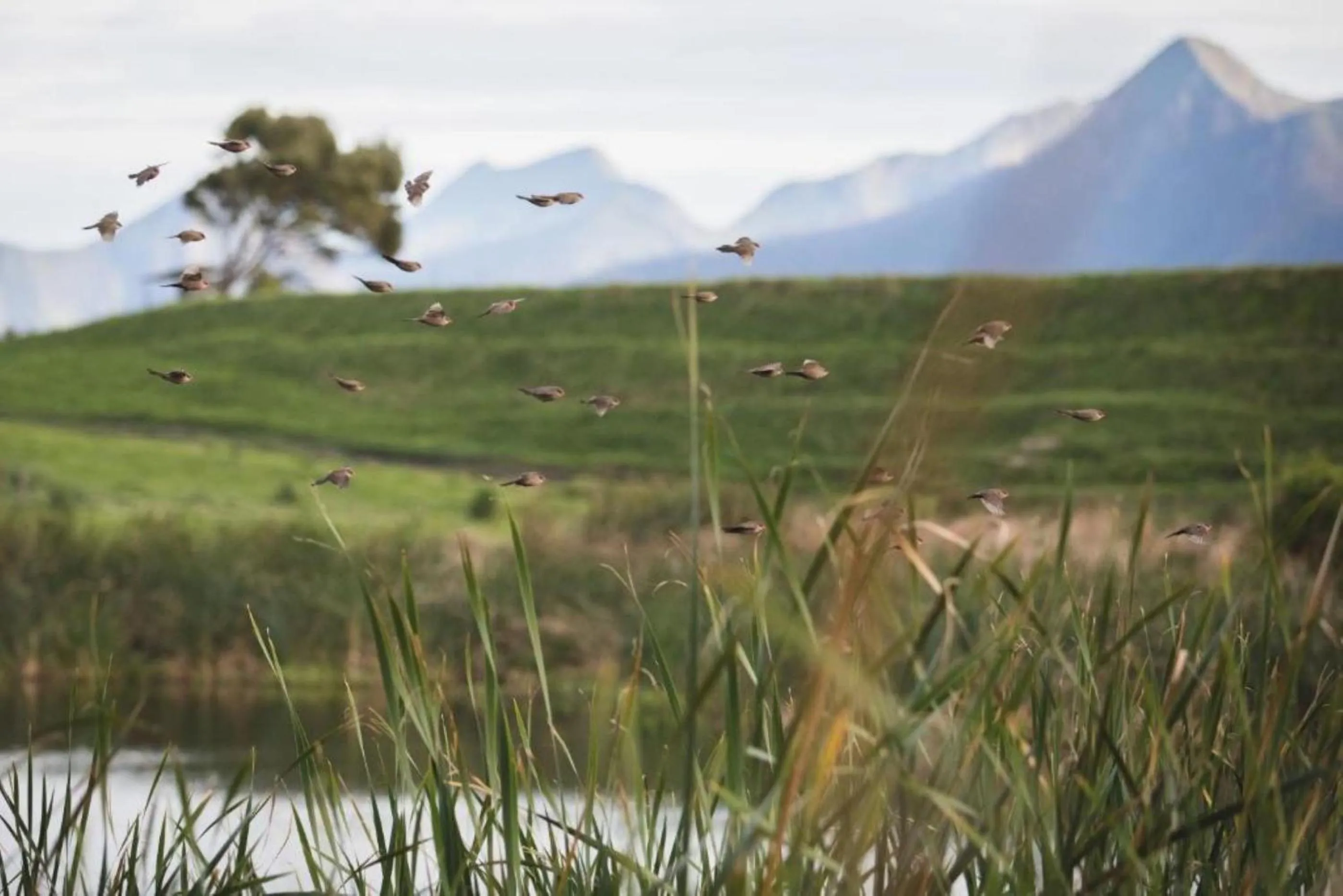 View (from property/room) in Misty Mountain Reserve