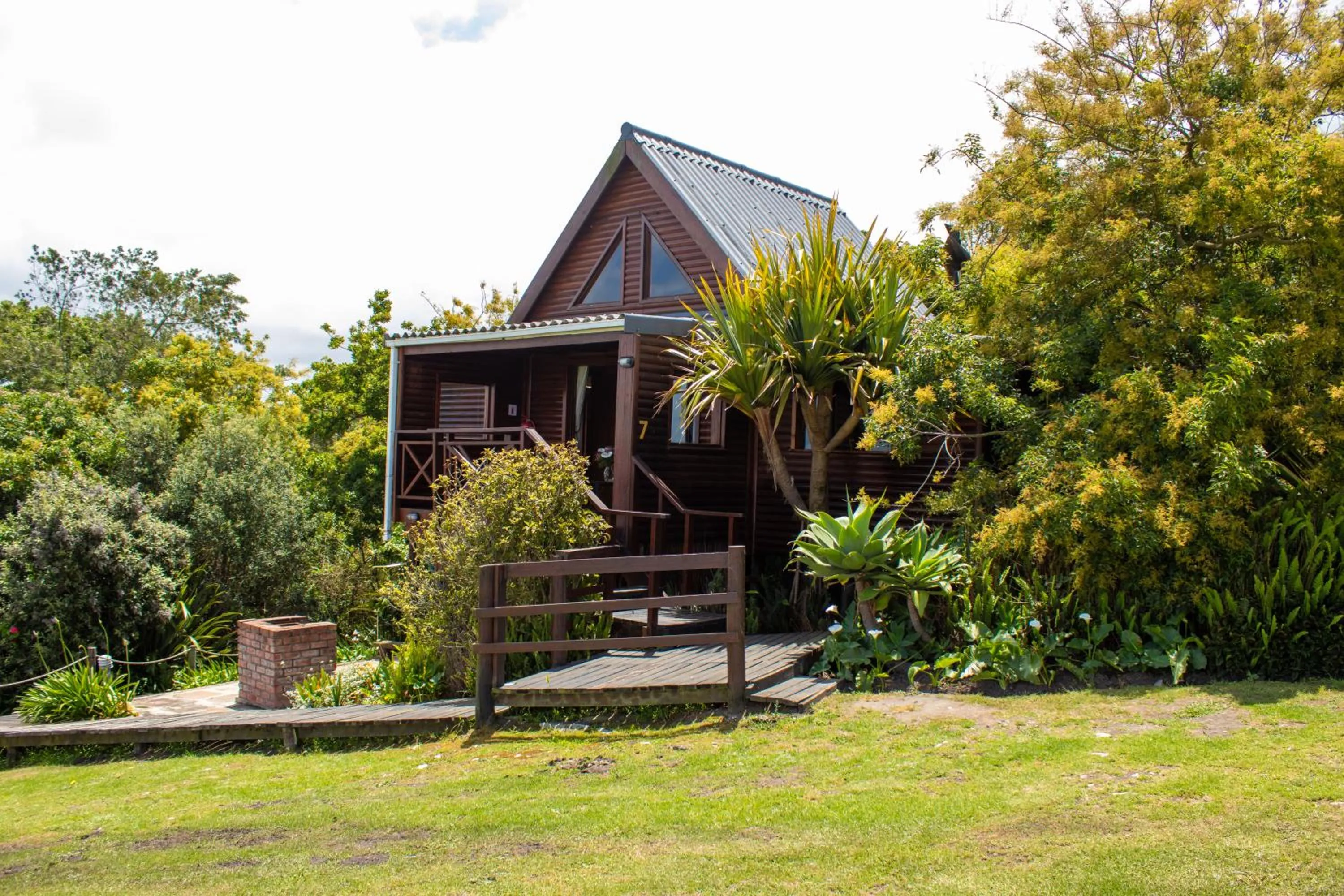 Day in Misty Mountain Reserve