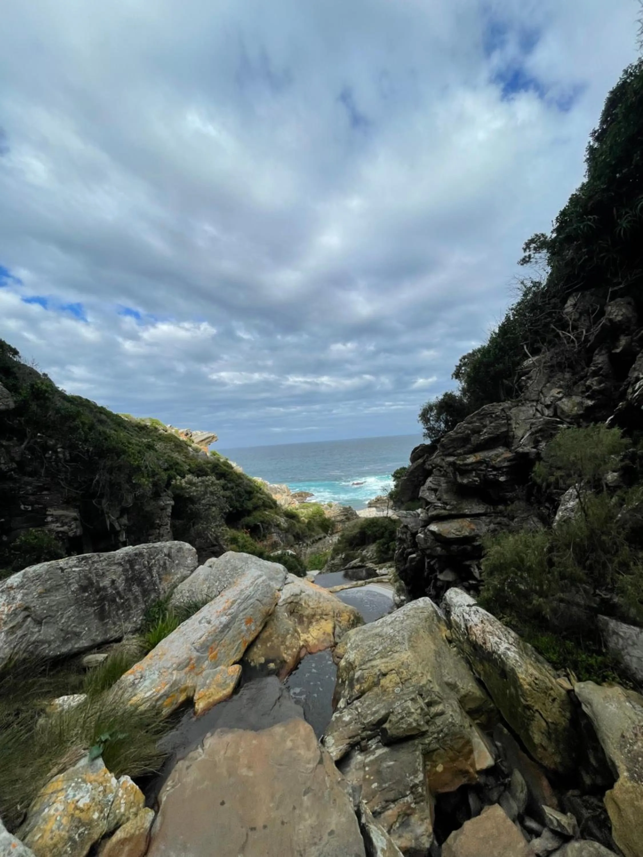 Day in Misty Mountain Reserve