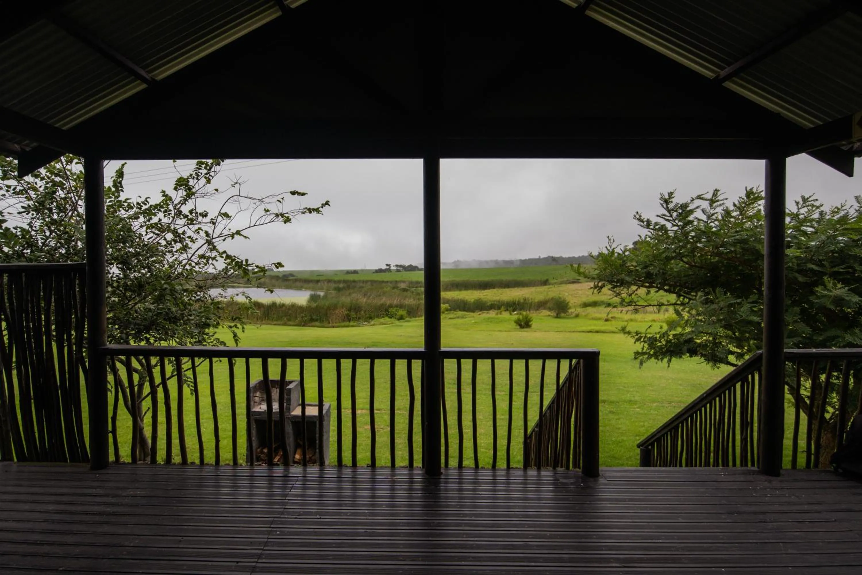 View (from property/room) in Misty Mountain Reserve
