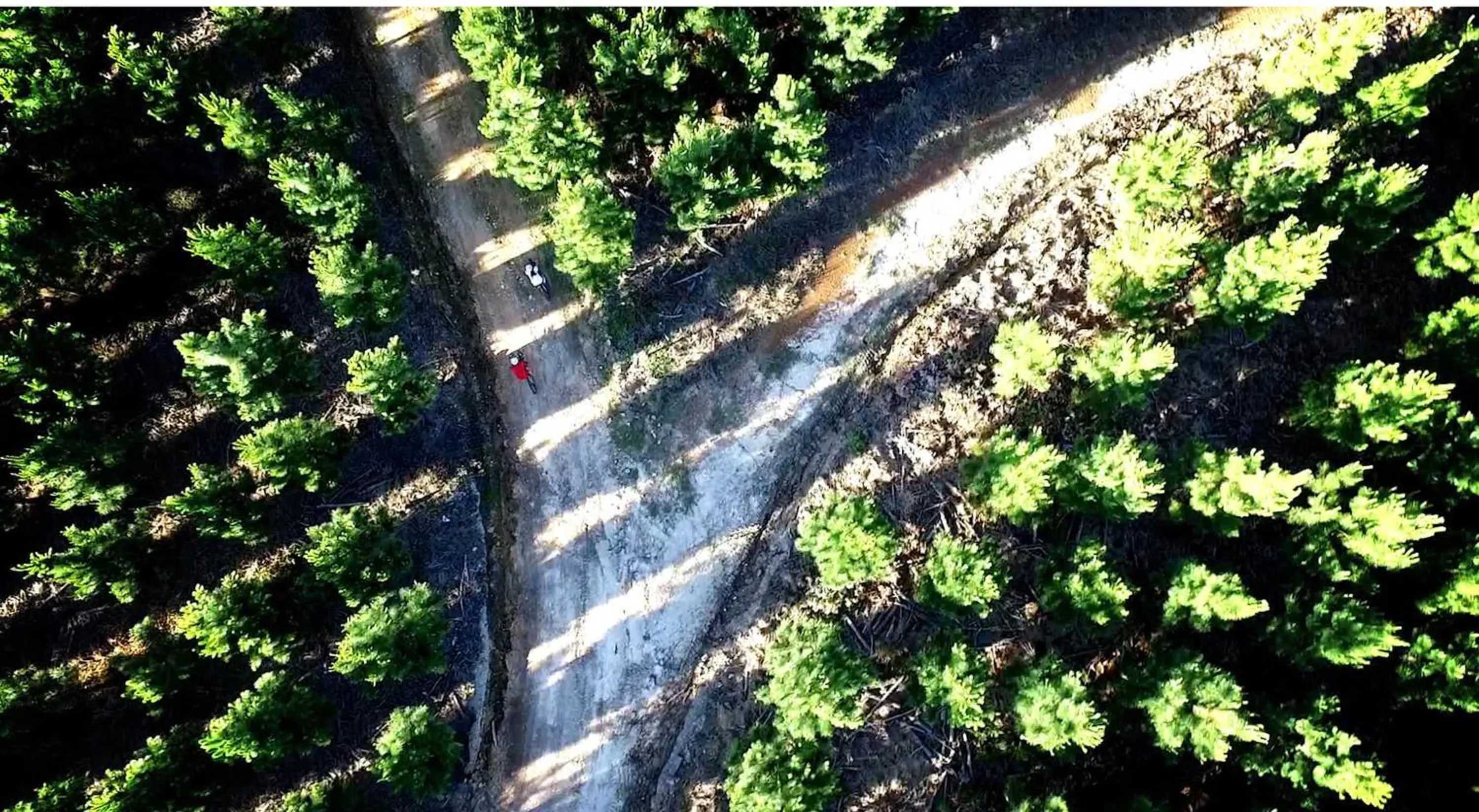 Activities in Misty Mountain Reserve