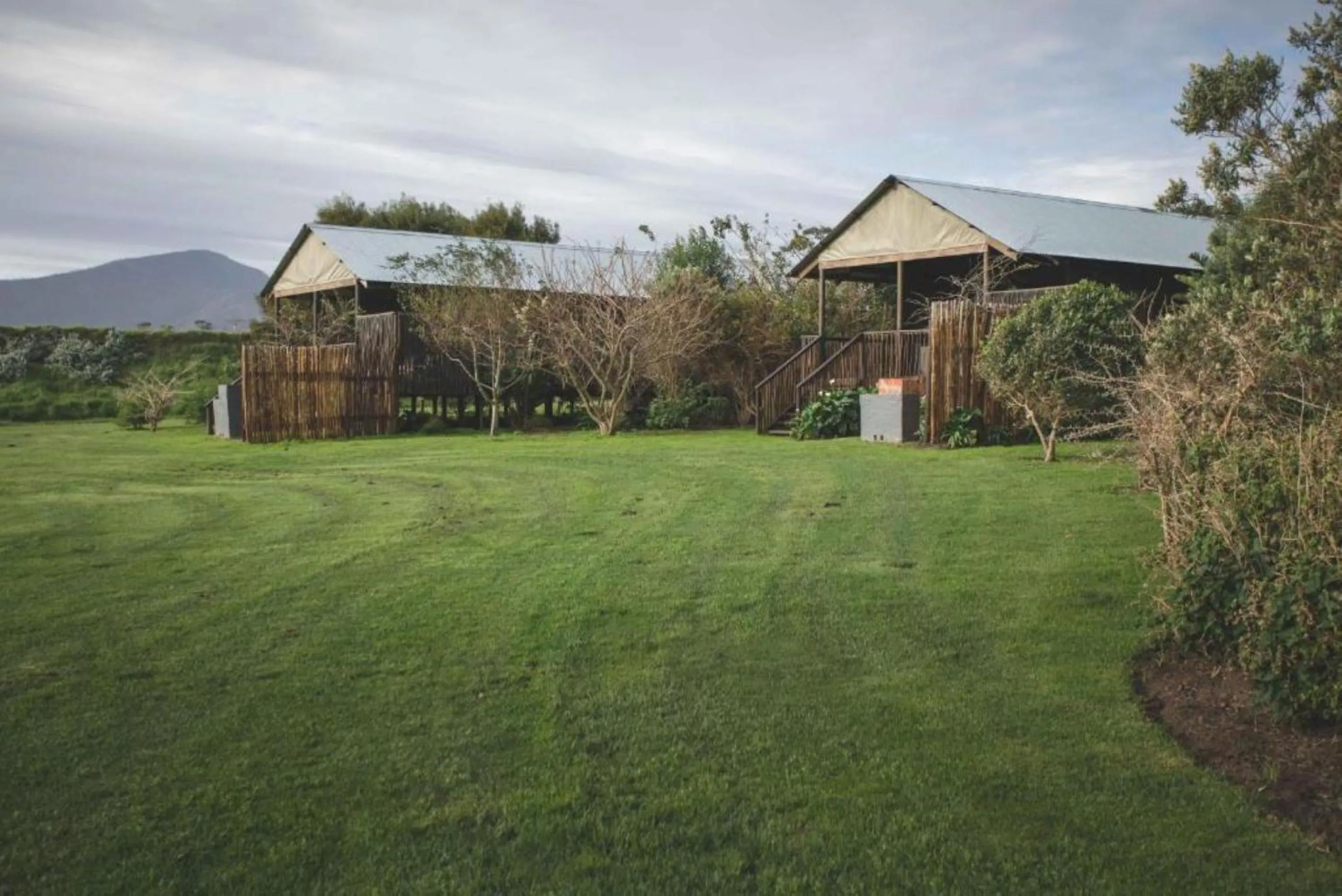 View (from property/room) in Misty Mountain Reserve