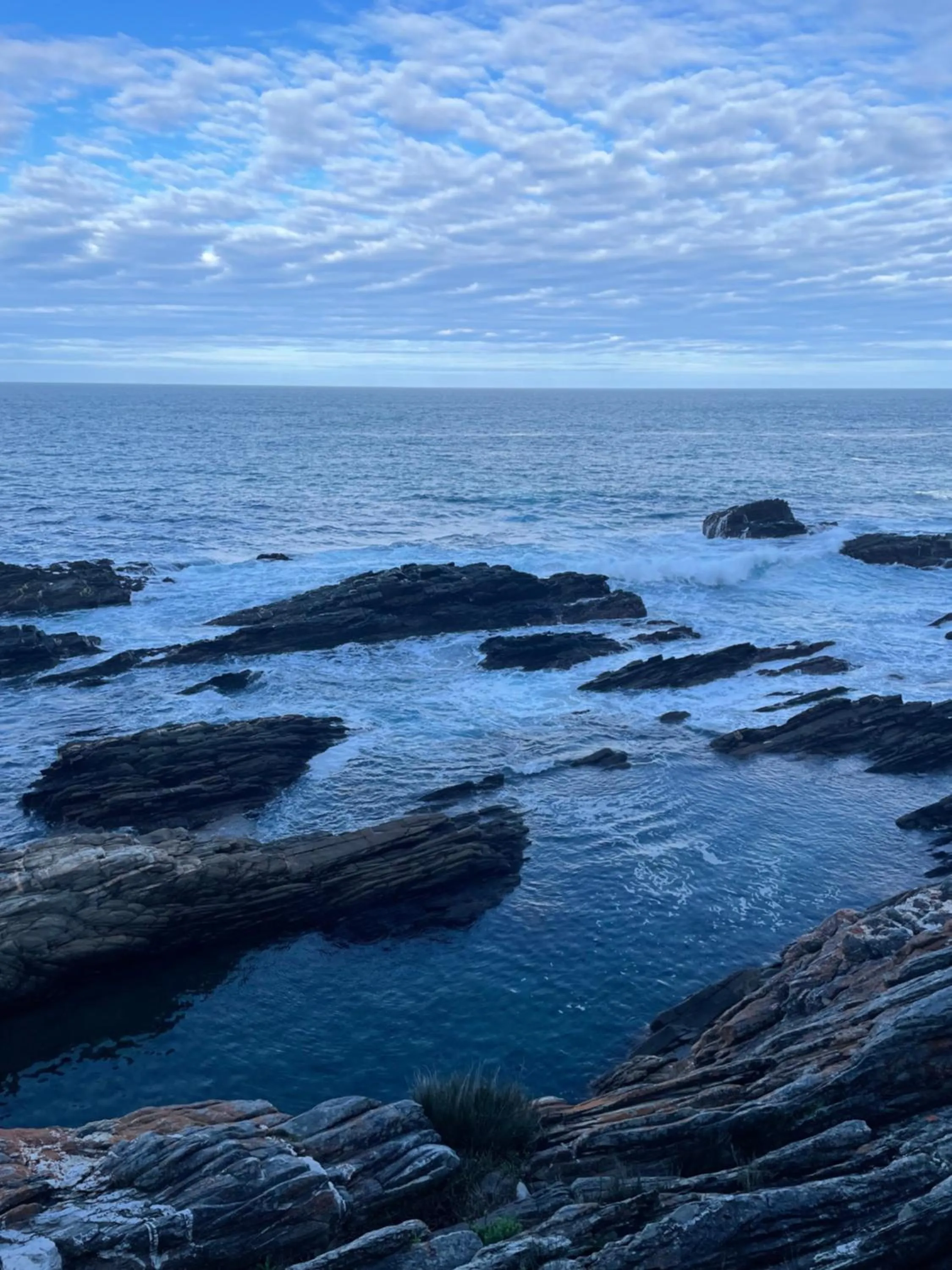 Natural landscape in Misty Mountain Reserve