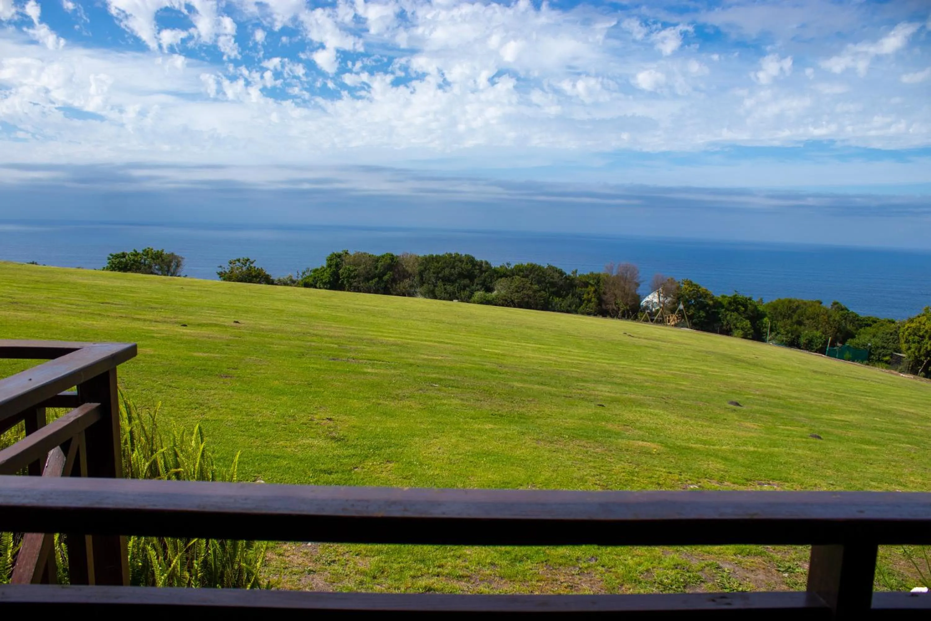 Day in Misty Mountain Reserve