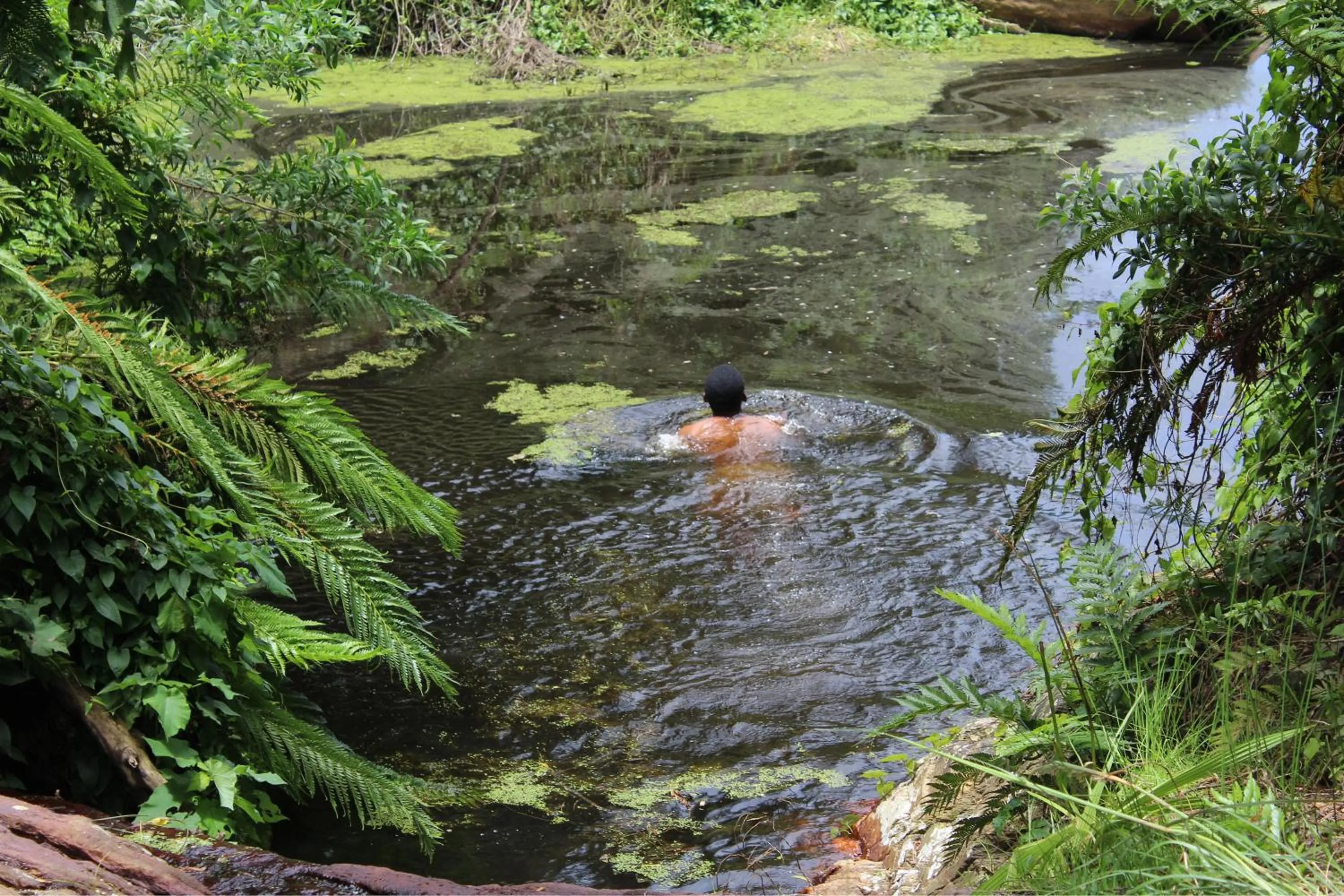 Natural landscape in Misty Mountain Reserve