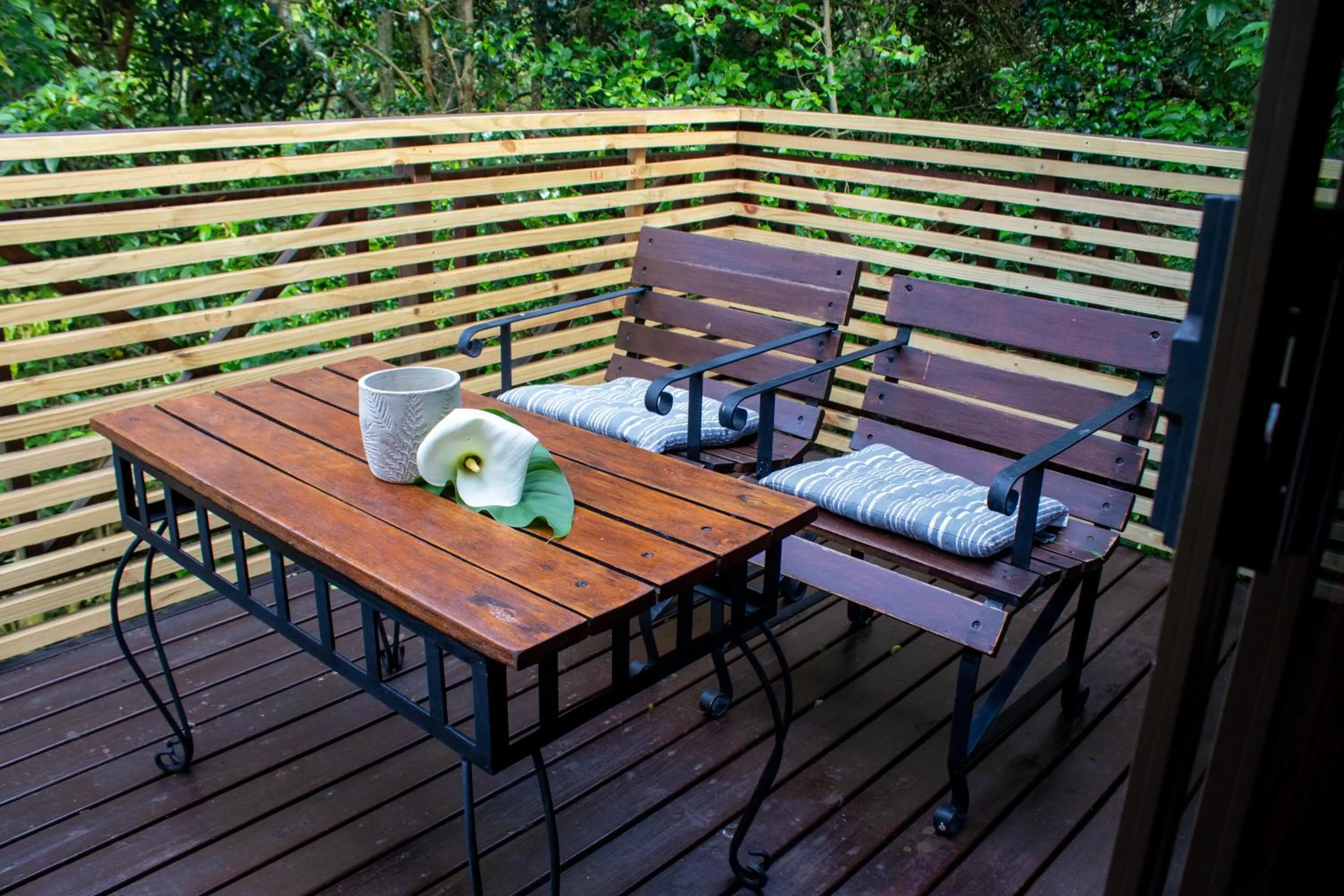 Day in Misty Mountain Reserve