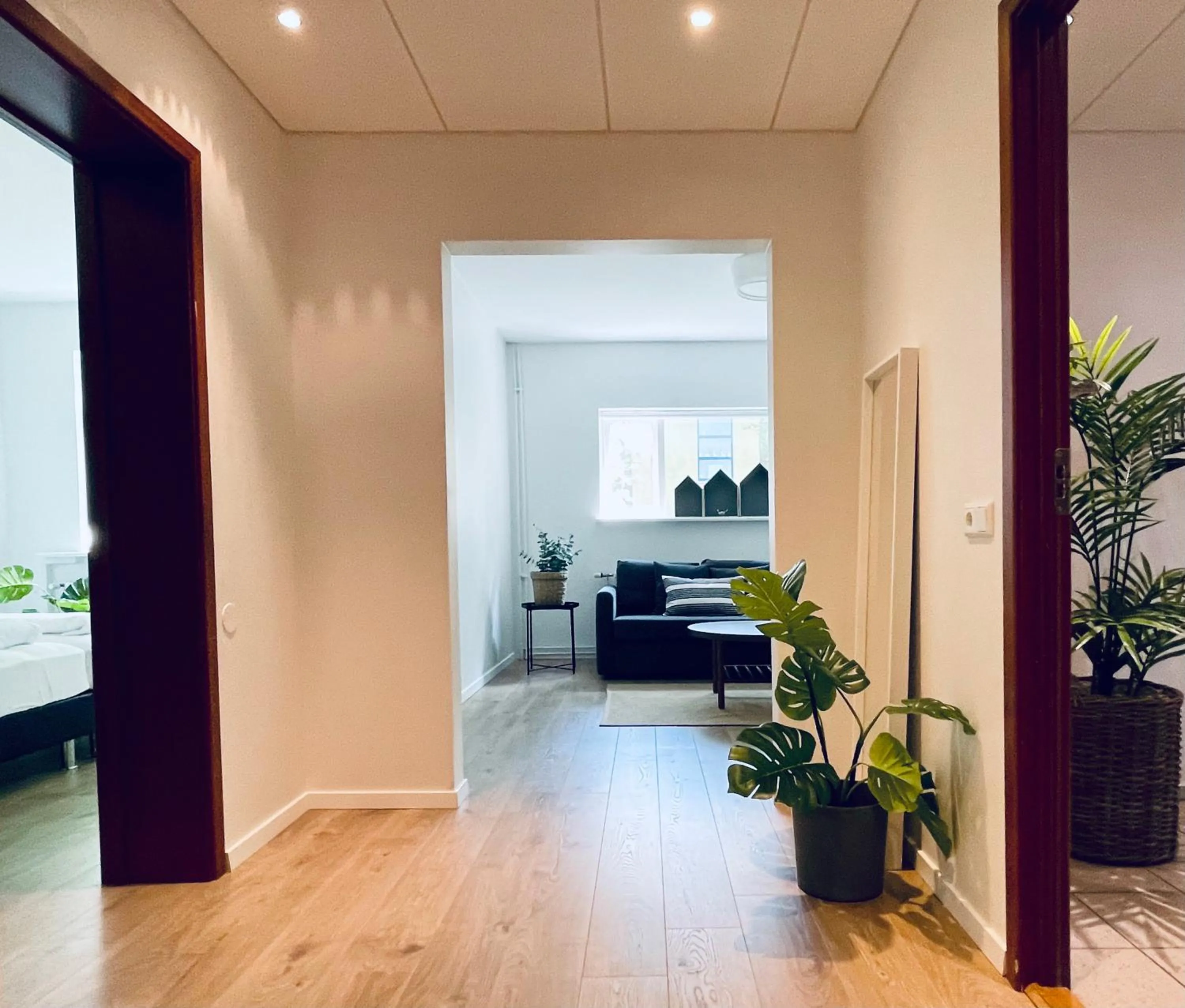 Living room in Day Dream Soleyjargata Rooms & Apartments