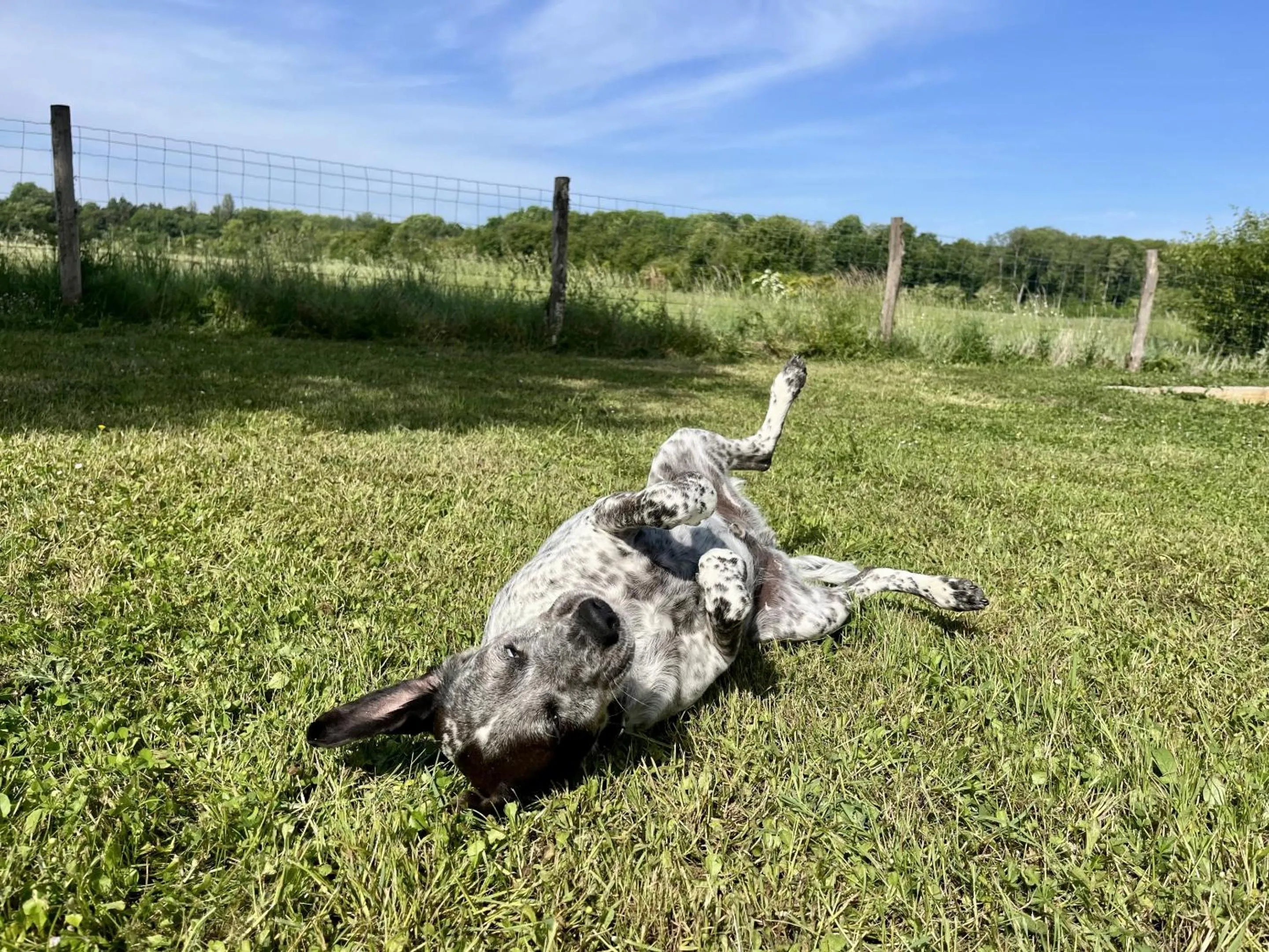 Other in Le Clos des Châteaux
