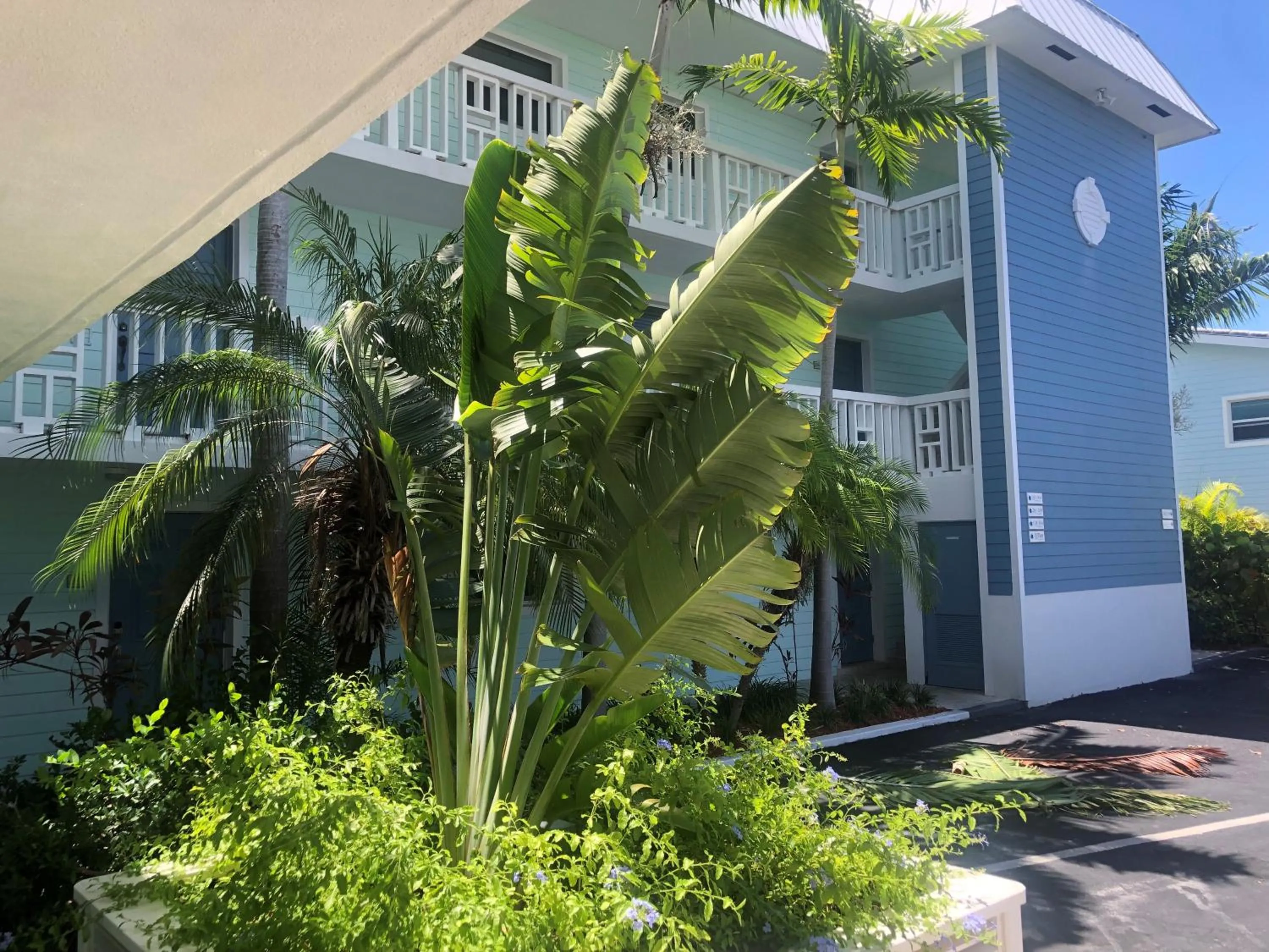 Property building in Dolphin Cove