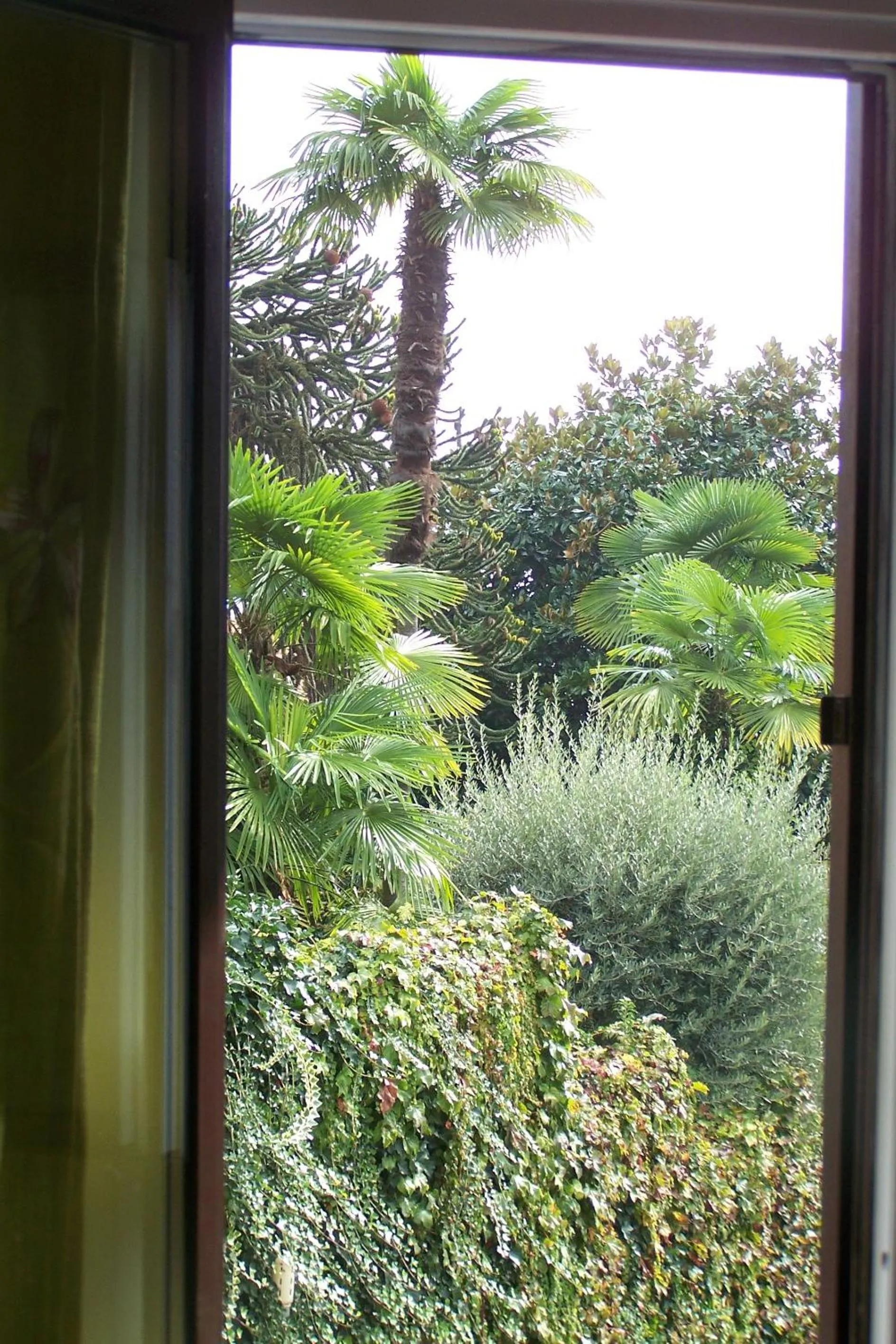 Garden view in B&B Torre Lara