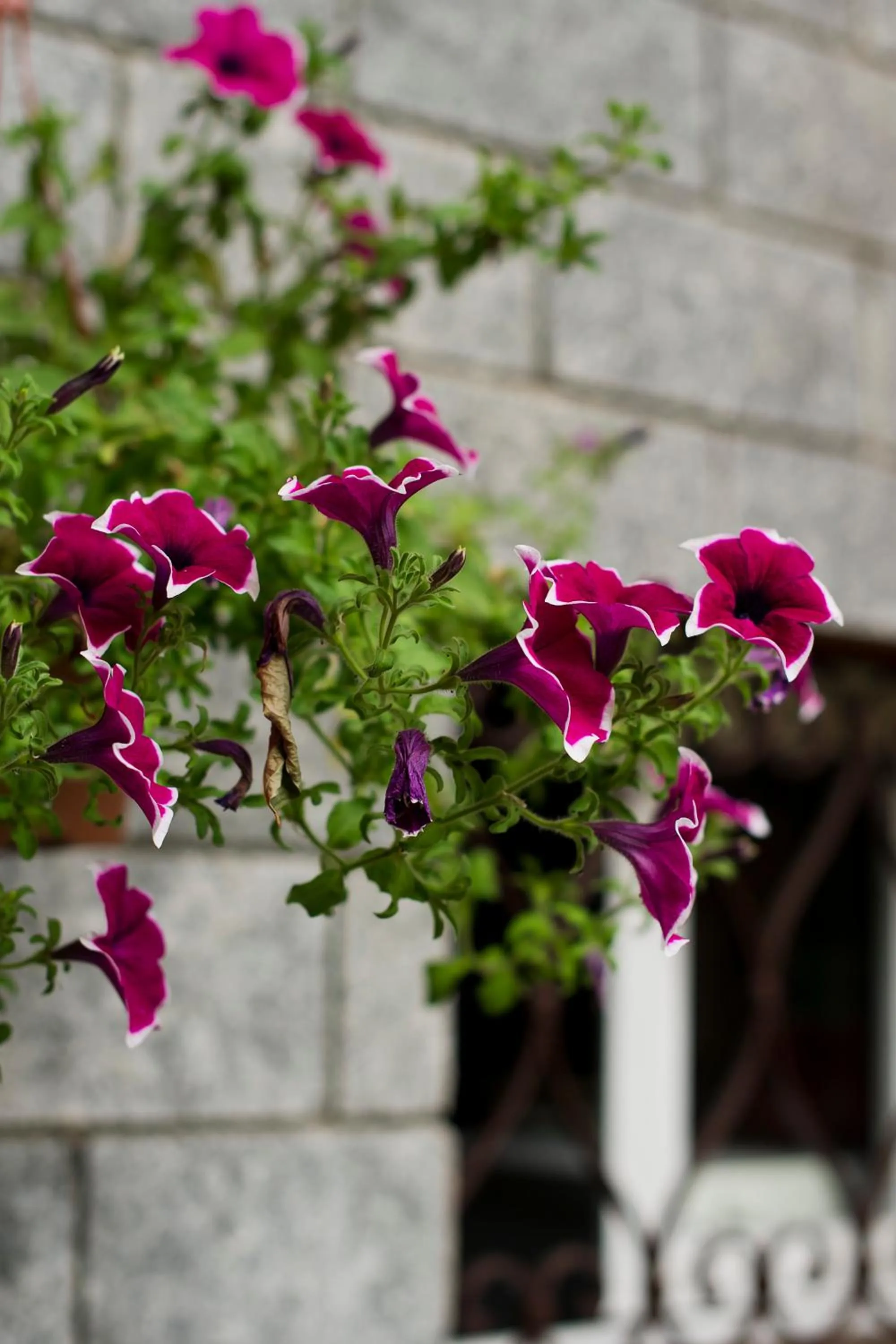 Decorative detail in B&B Torre Lara