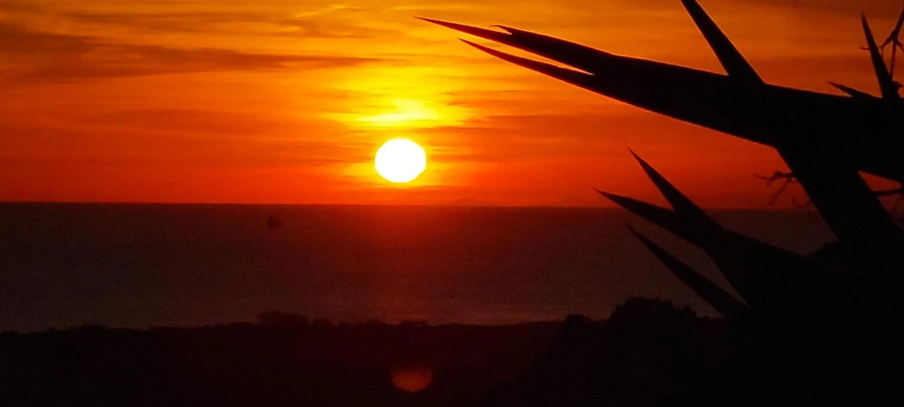 Natural landscape in Bellavista Versilia