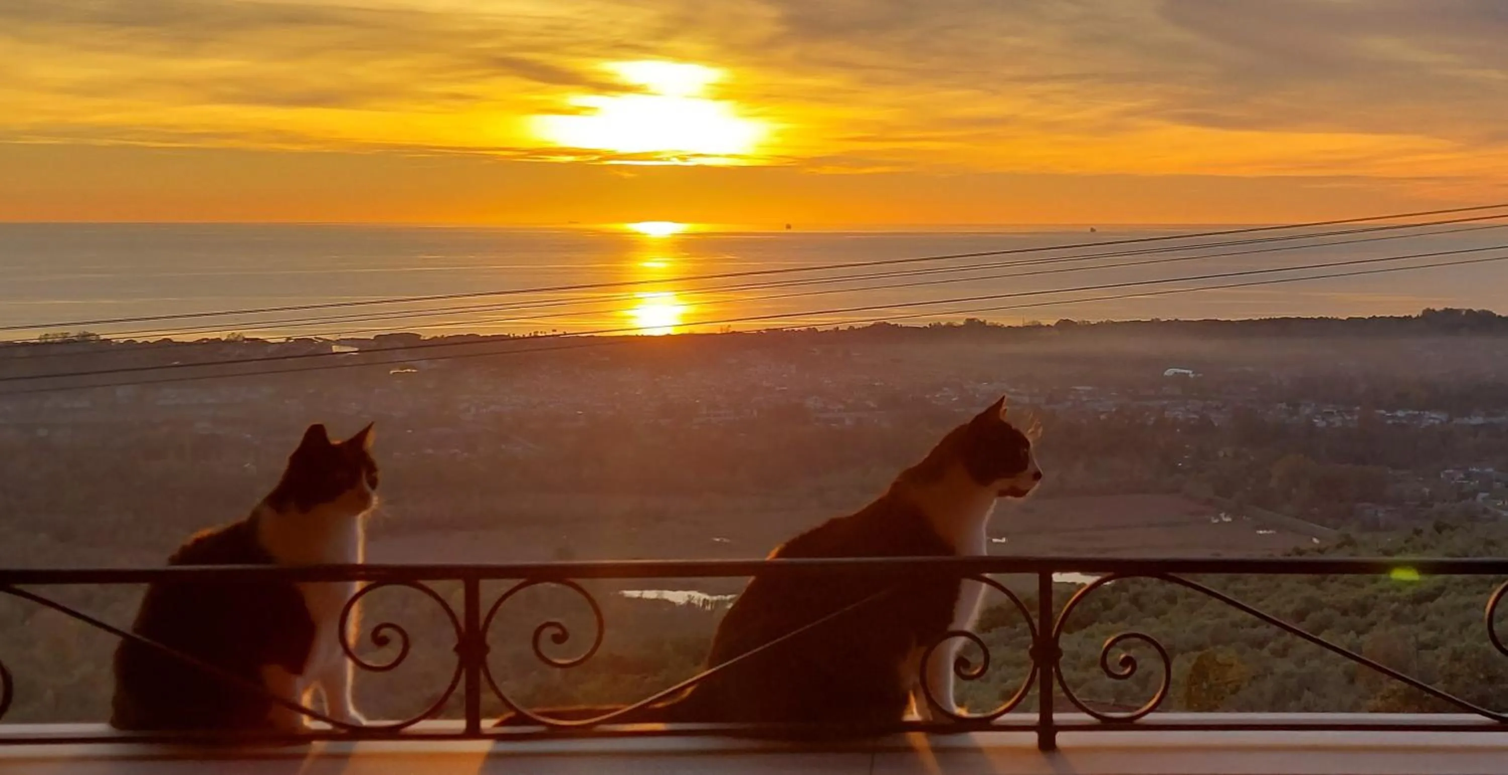 Natural landscape in Bellavista Versilia