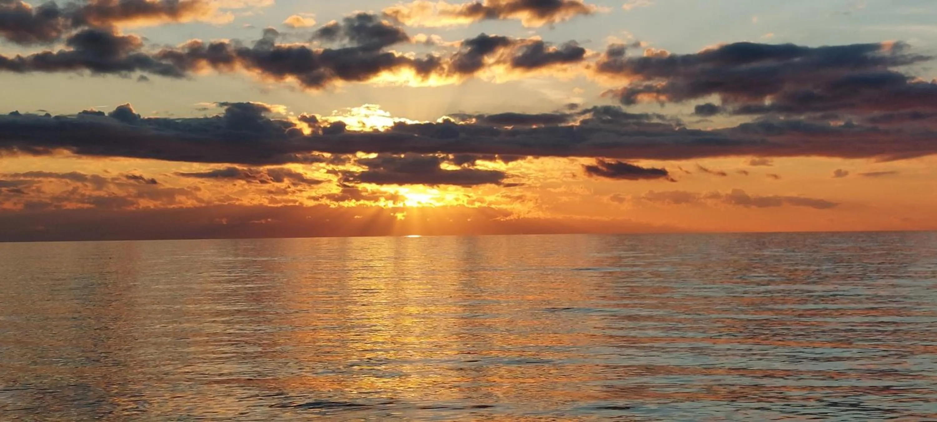Natural landscape in Bellavista Versilia