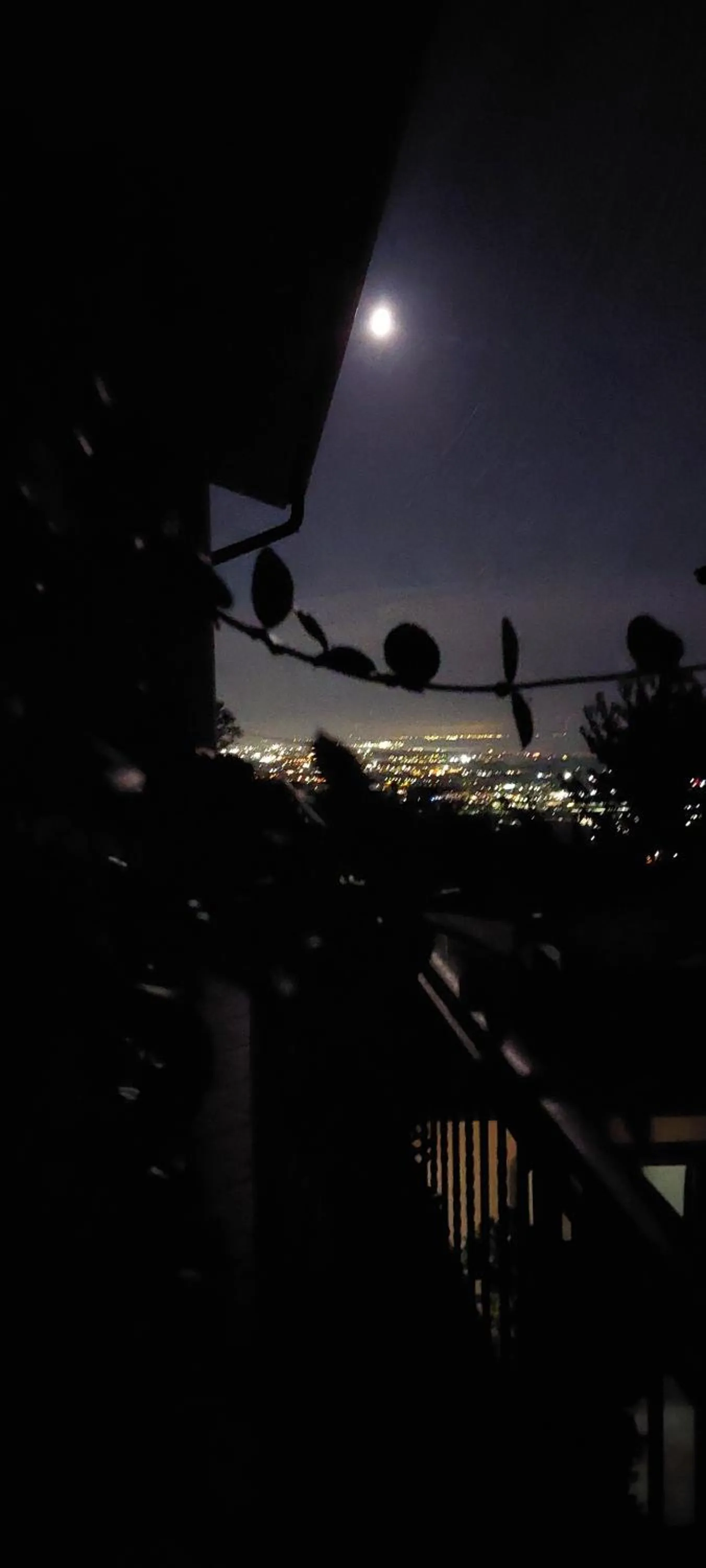 Night in Bellavista Versilia