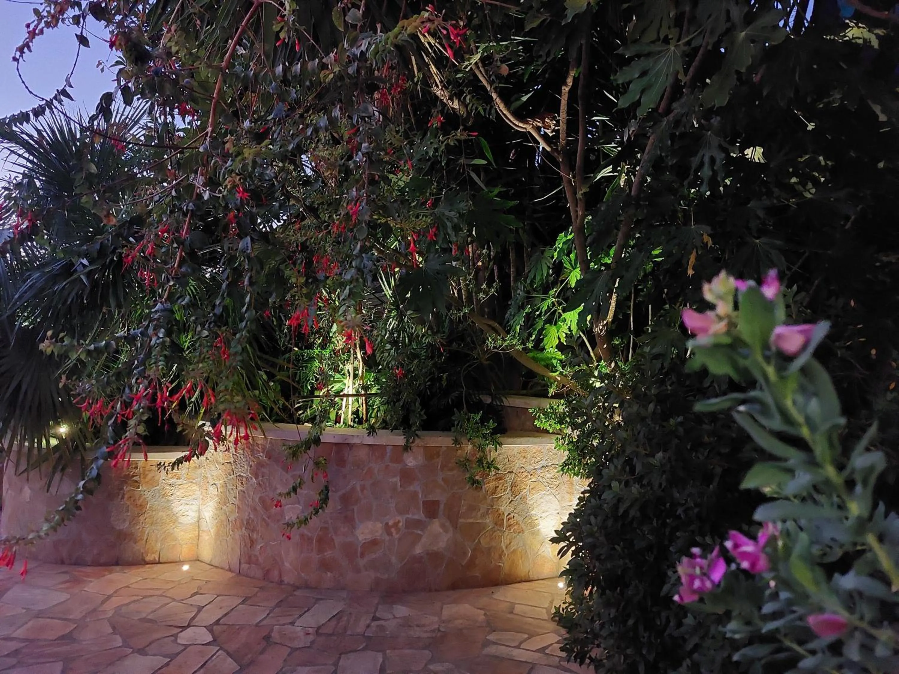 Night in Bellavista Versilia