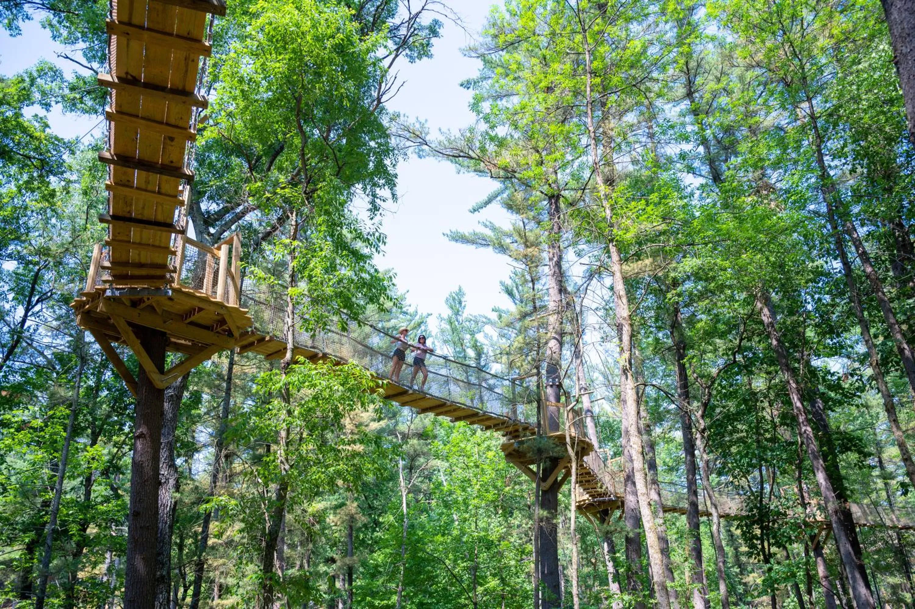 Natural landscape in Aloha Beach Resort