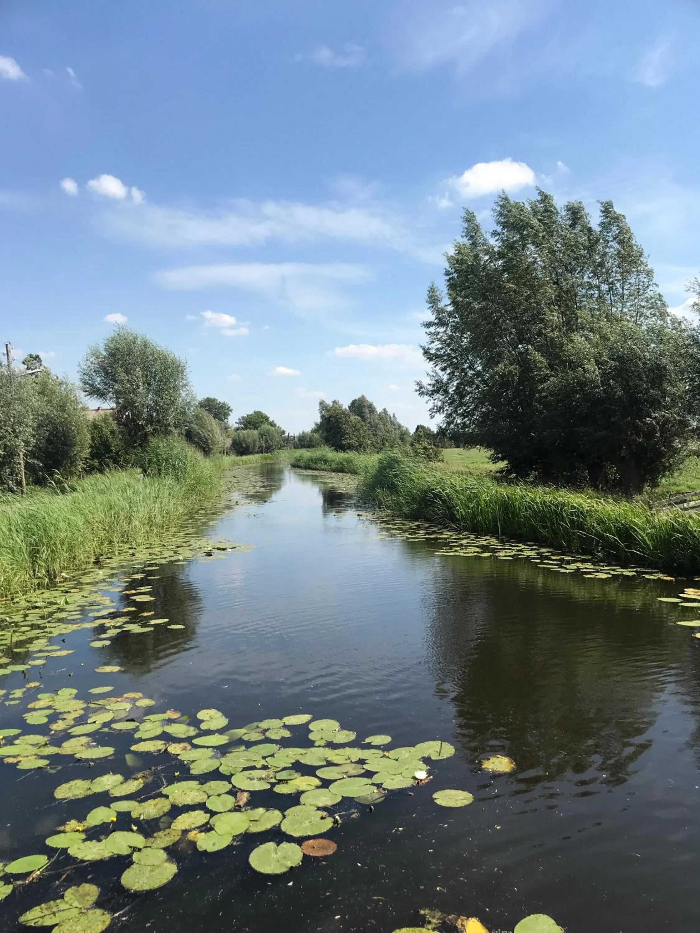Natural landscape in De Kopstoof