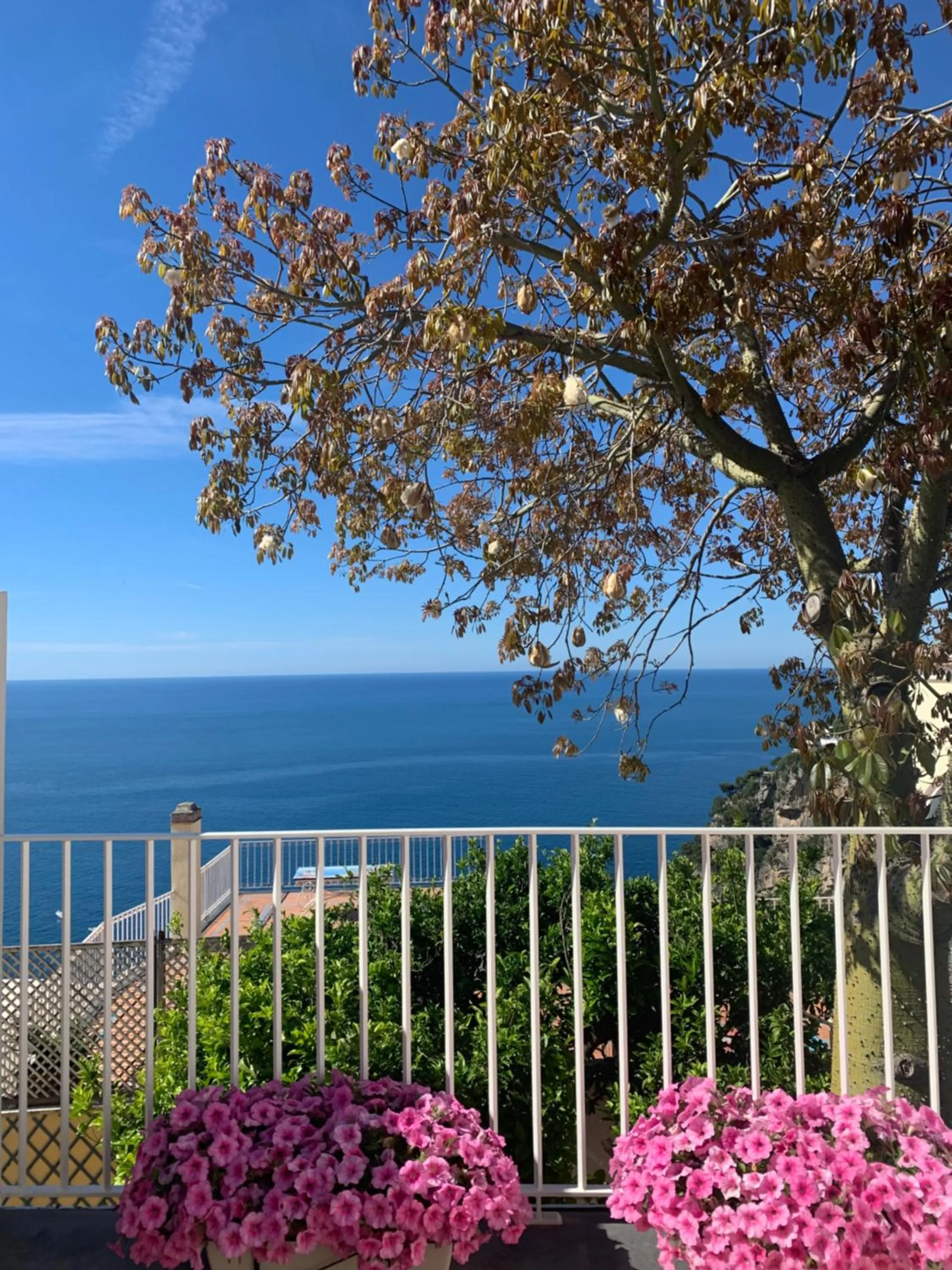 Balcony/Terrace in Villa Fortuna