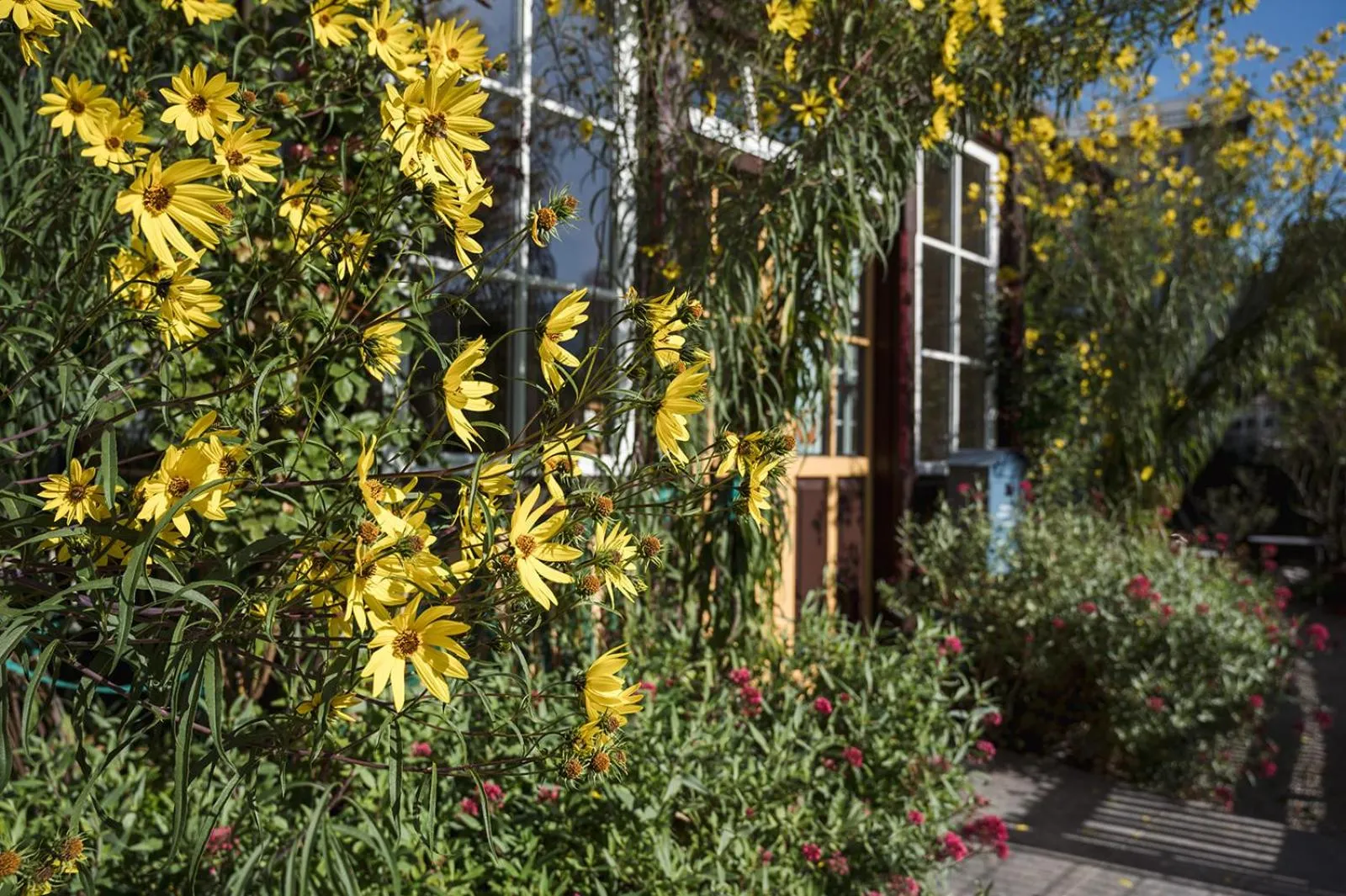 Garden in Wanderlust Boutique Rooms