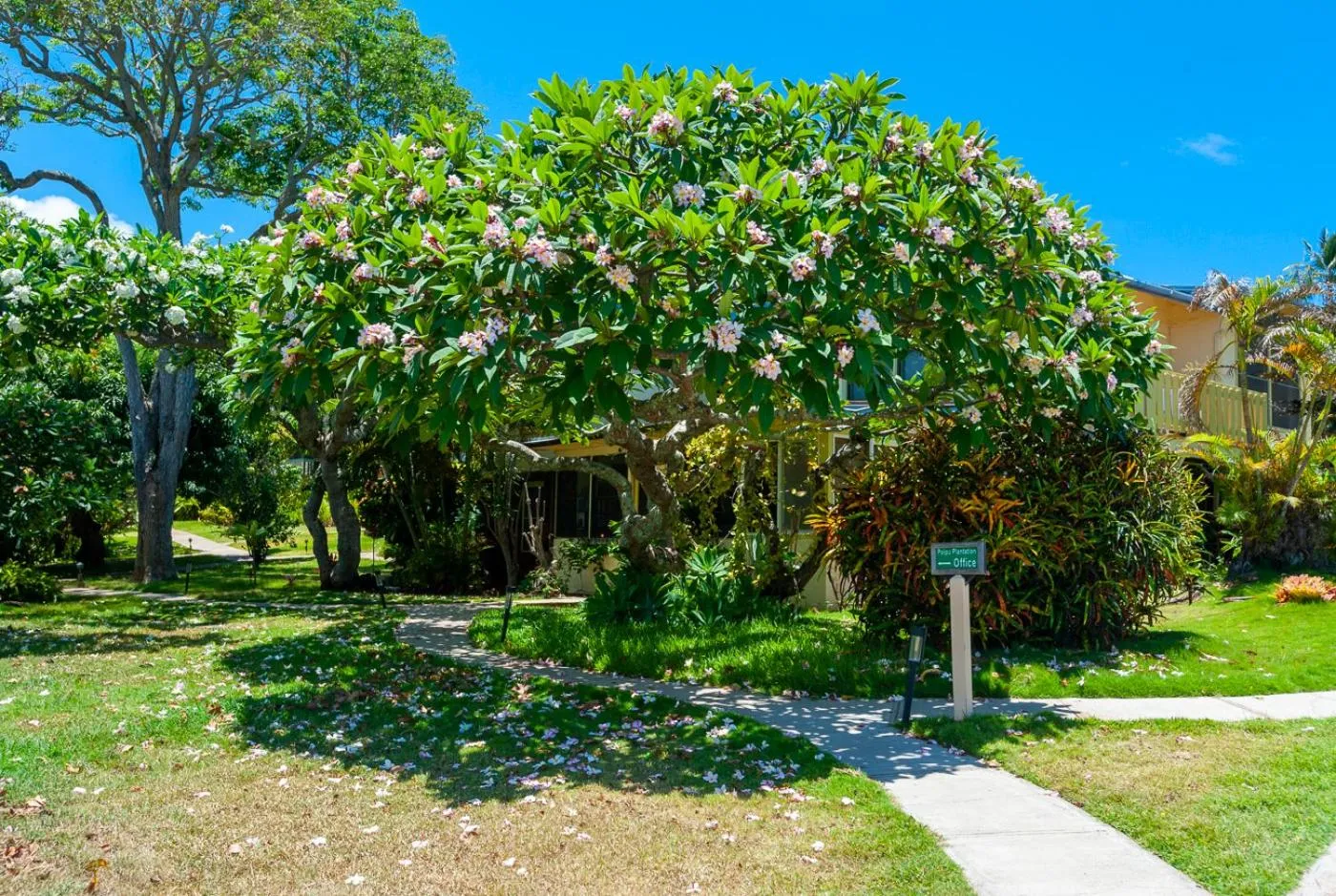 Garden view in Poipu Plantation Vacation Rentals