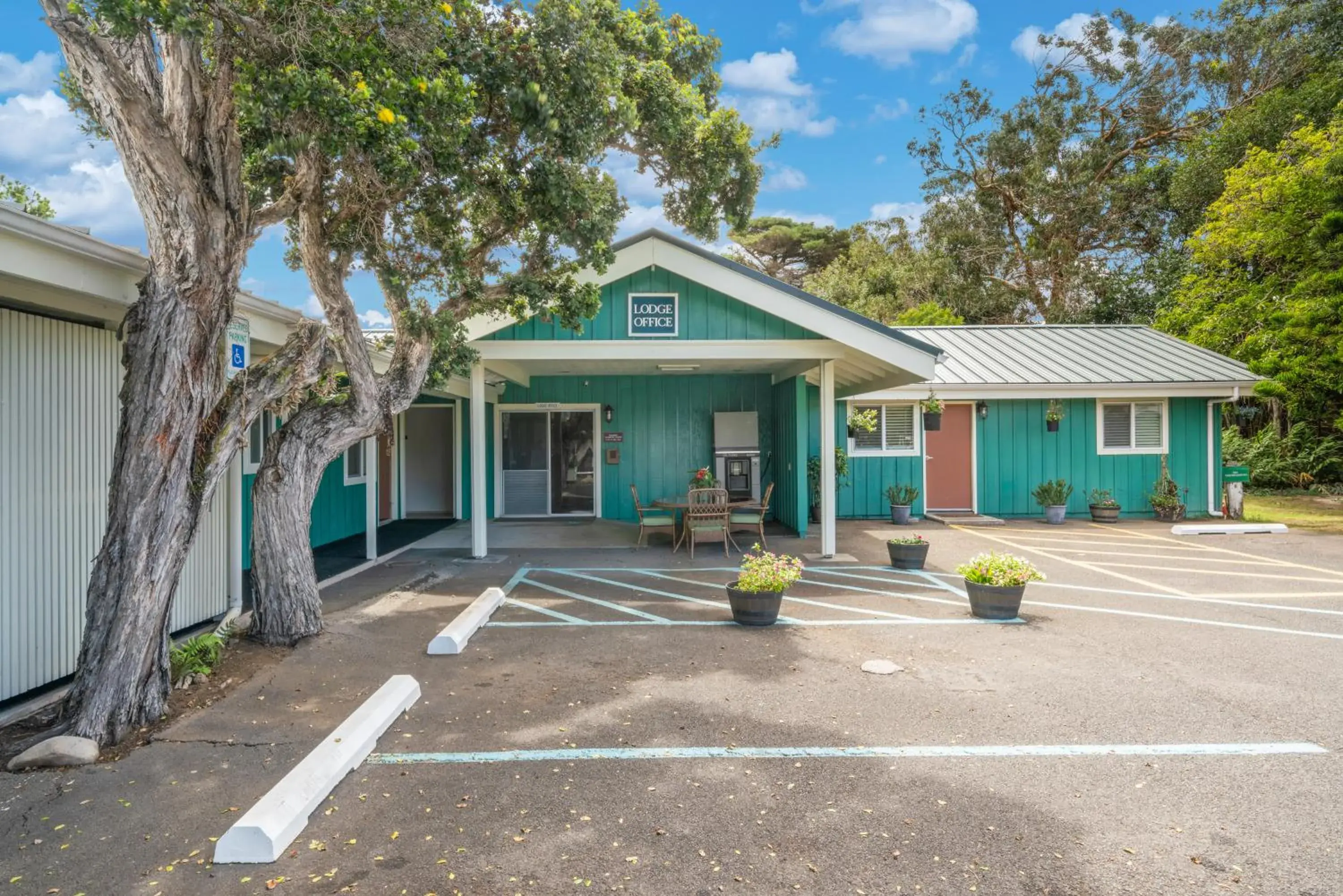 Double Room with Mountain View in Castle Waimea Country Lodge Double Room with Mountain View in Castle Waimea Country Lodge