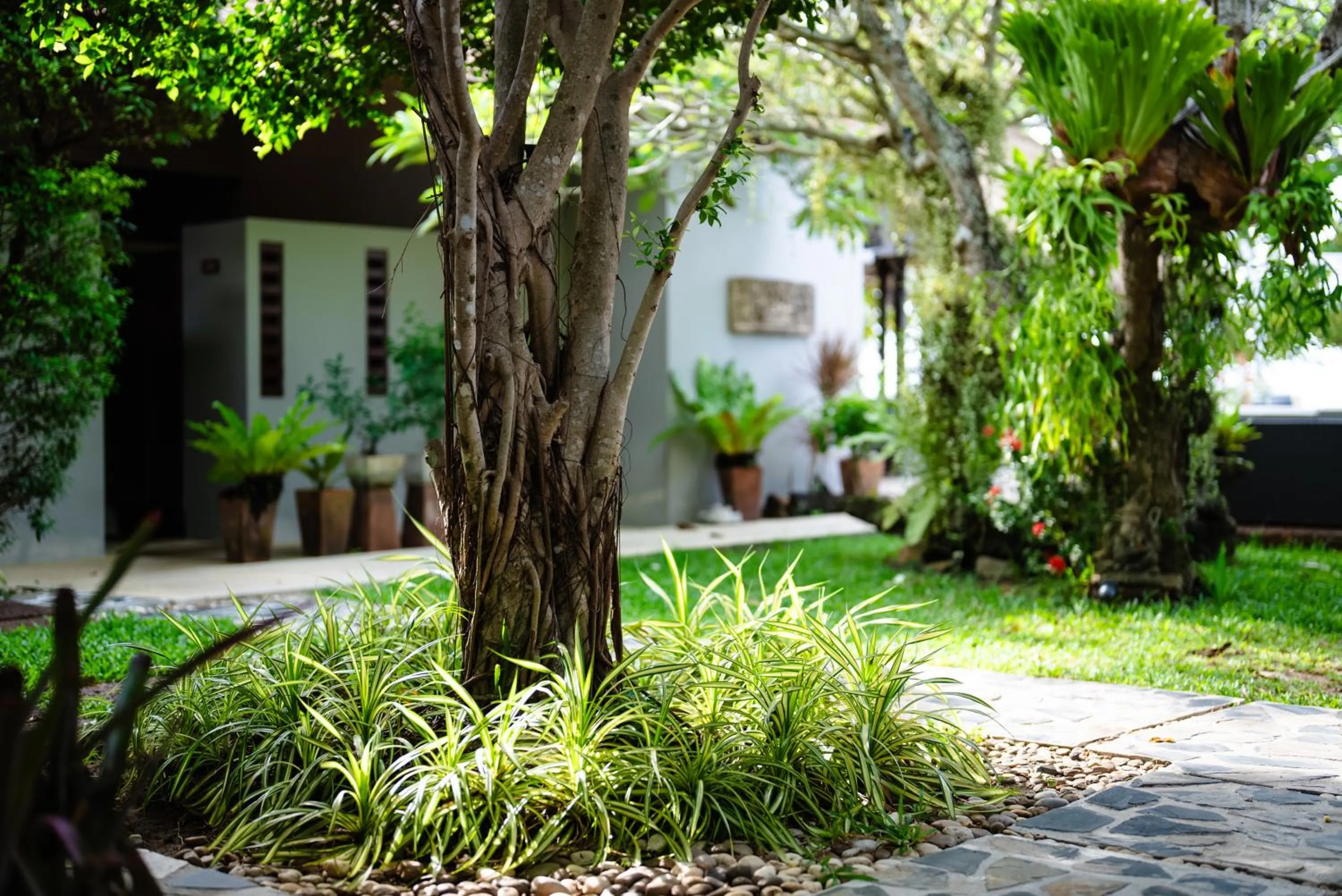 Garden in Samahita Retreat