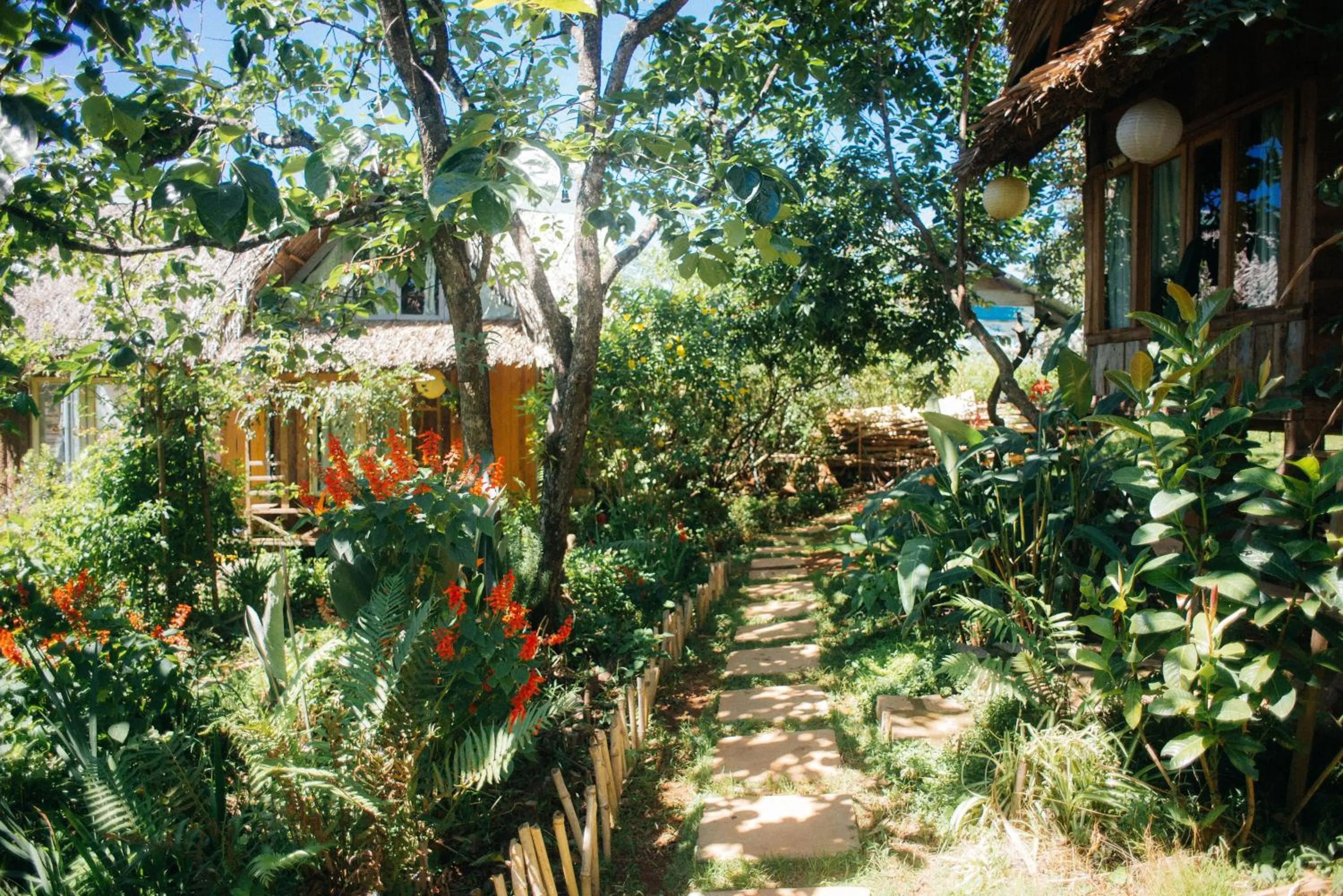 Children play ground in Đà Lạt Củi Homestay