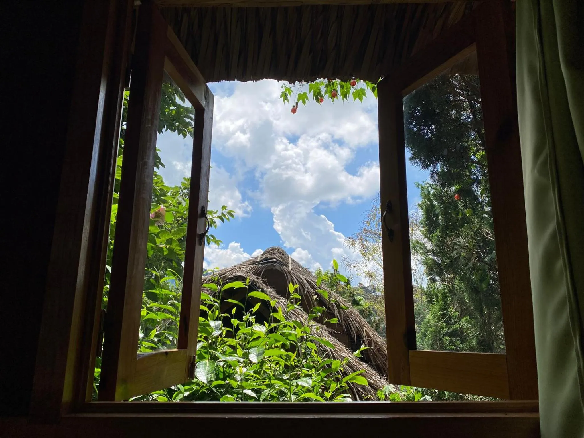 Spring in Đà Lạt Củi Homestay