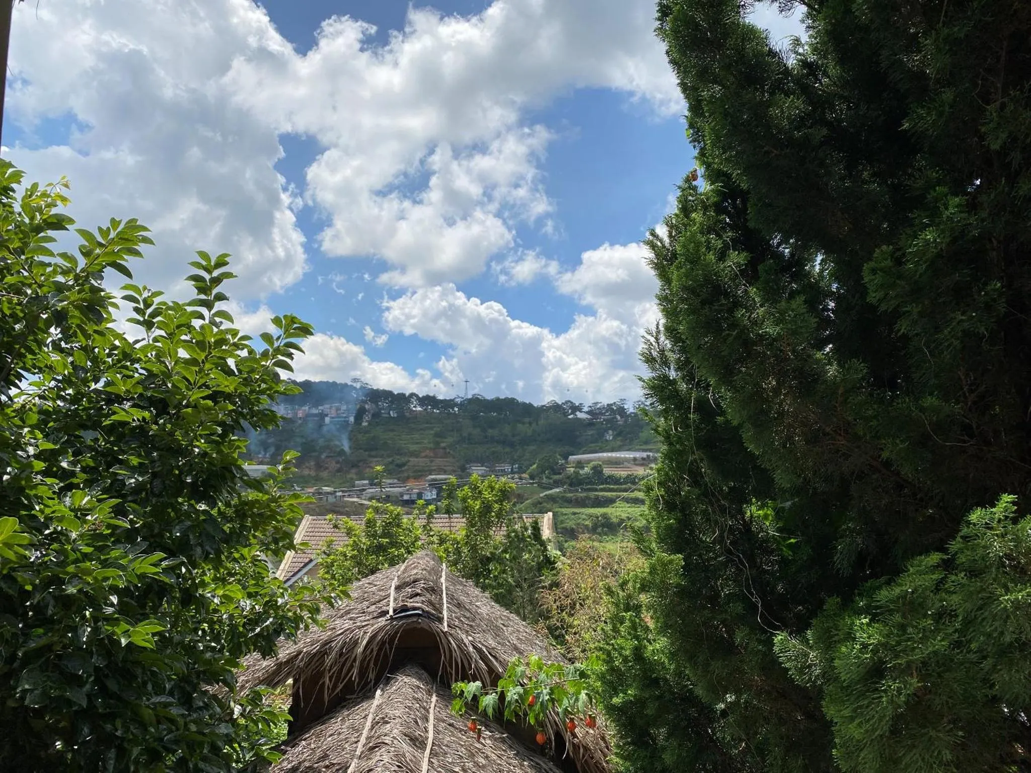 Spring in Đà Lạt Củi Homestay
