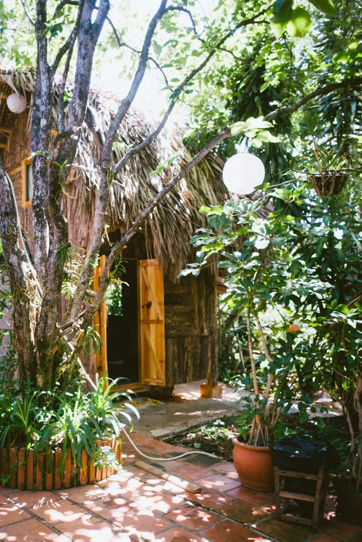 Property building in Đà Lạt Củi Homestay