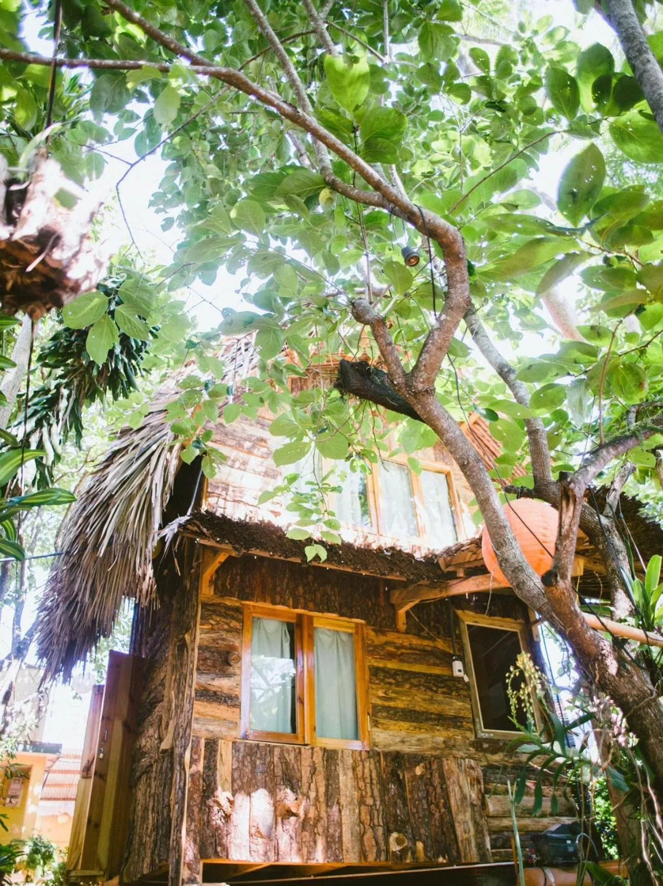 Property building in Đà Lạt Củi Homestay