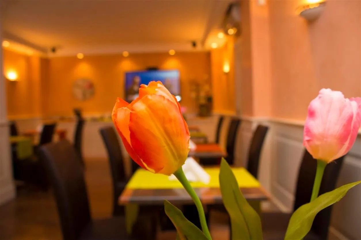 Lounge or bar in Hotel Mediterraneo