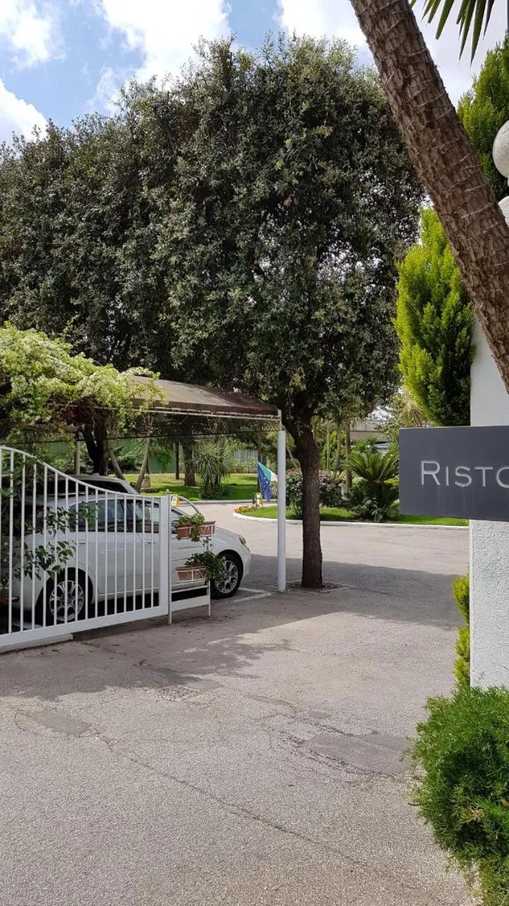 Garden in Hotel Mediterraneo