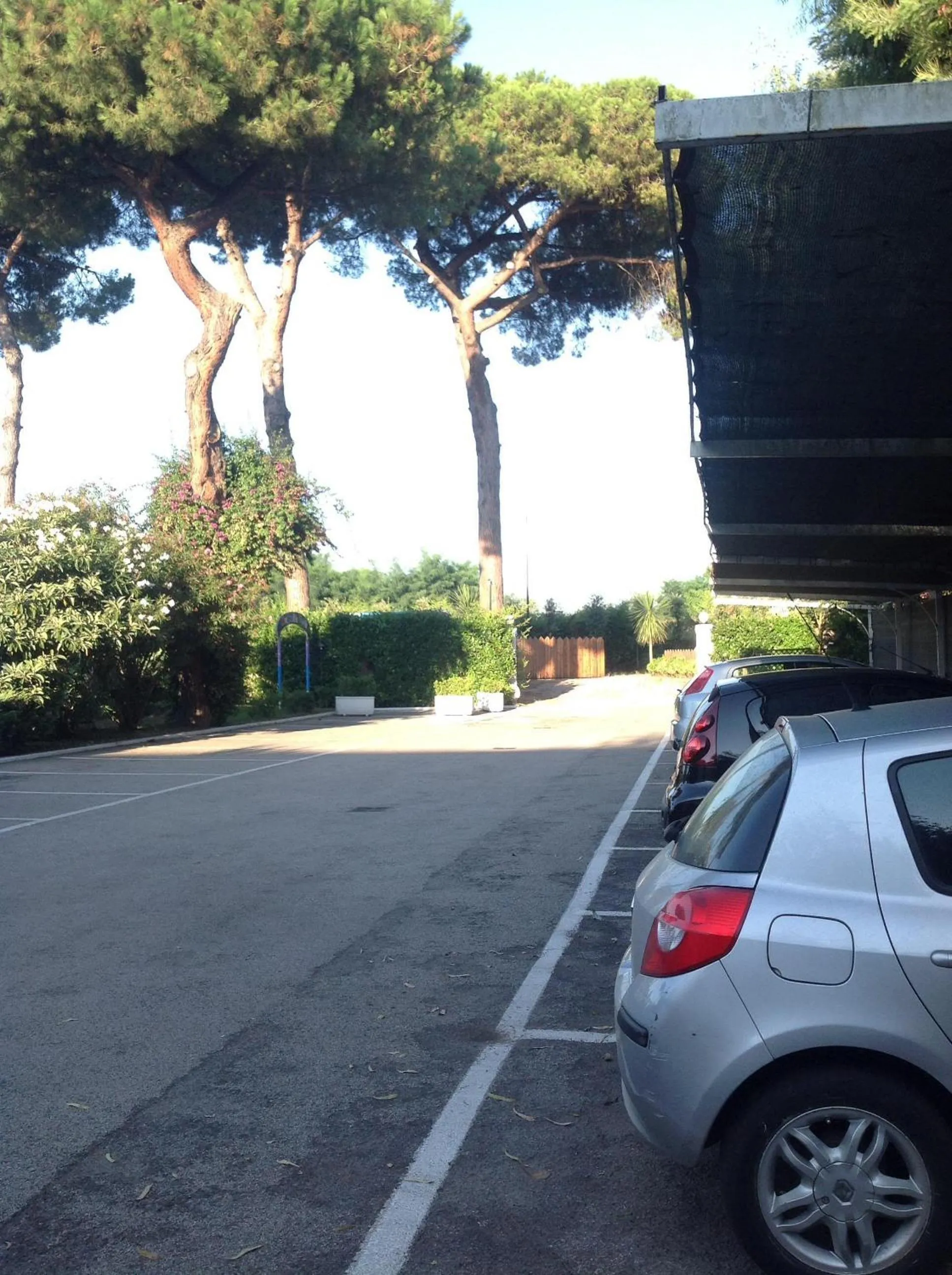 View (from property/room) in Hotel Mediterraneo