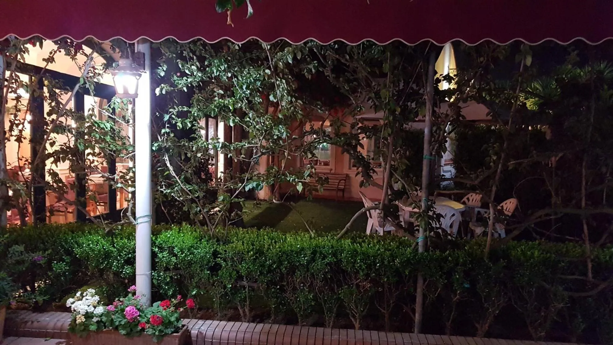 Garden in Hotel Mediterraneo