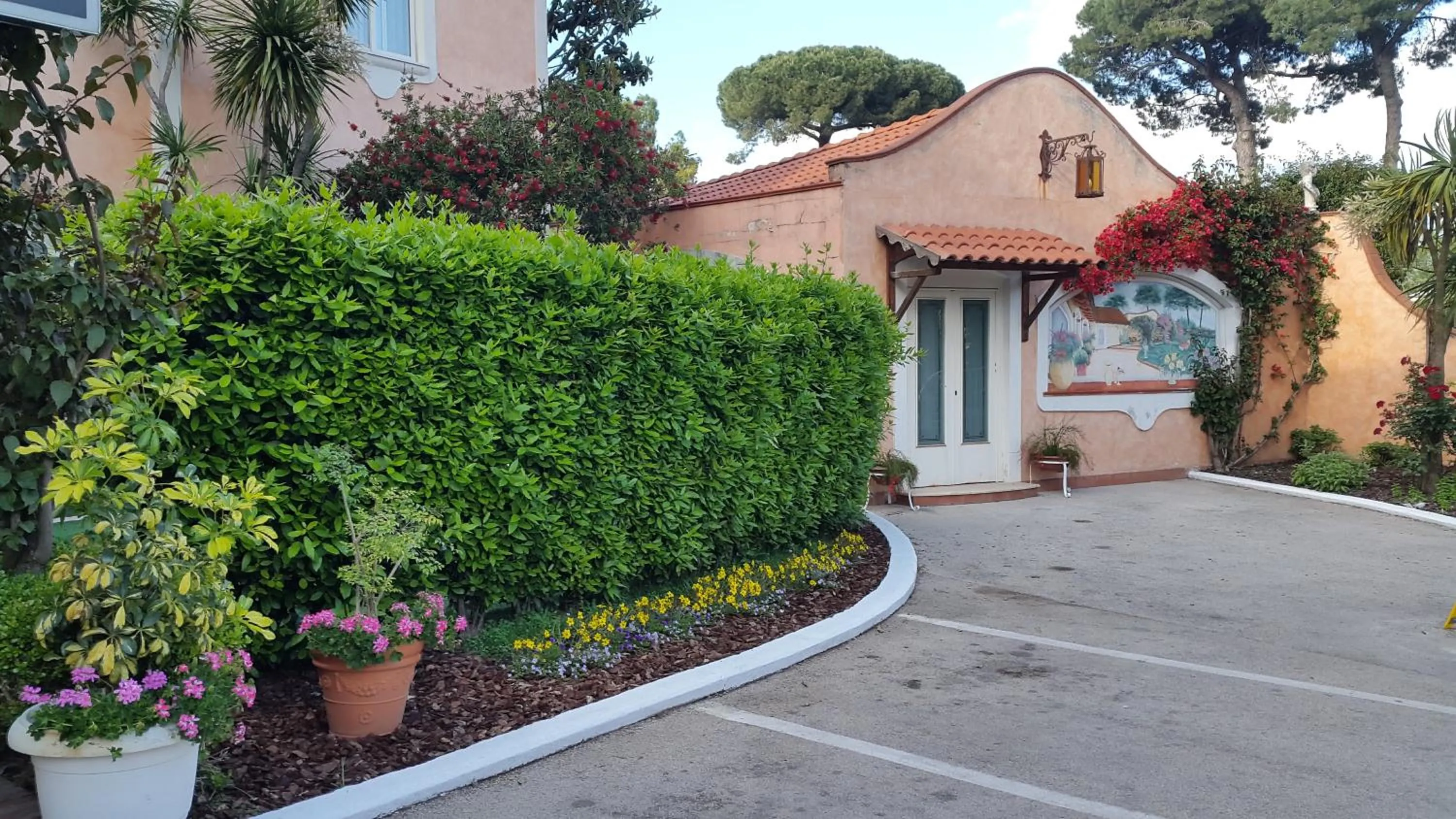 Garden in Hotel Mediterraneo