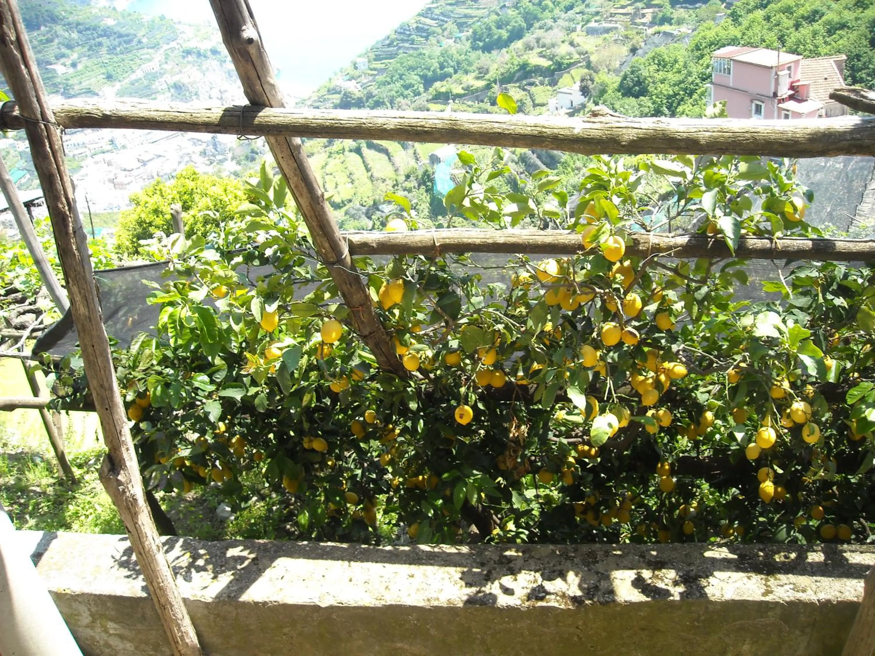 Garden in Il Rifugio del Poeta